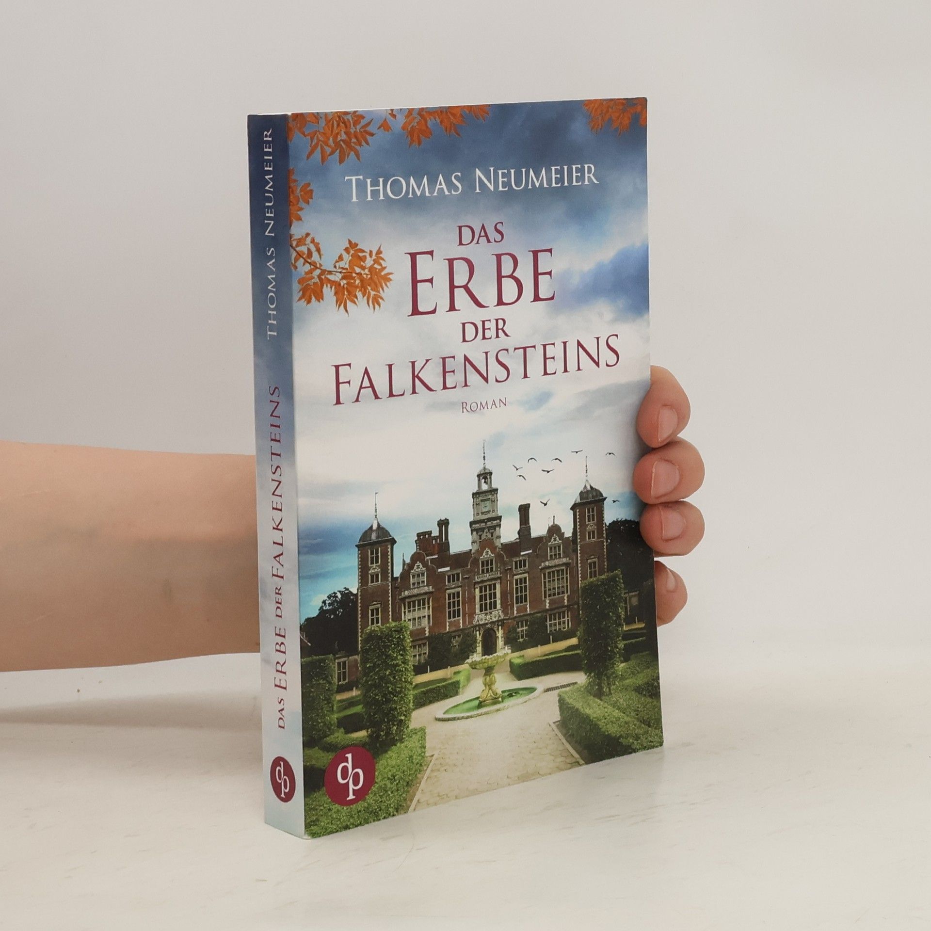Thomas Neumeier Das Erbe der Falkensteins