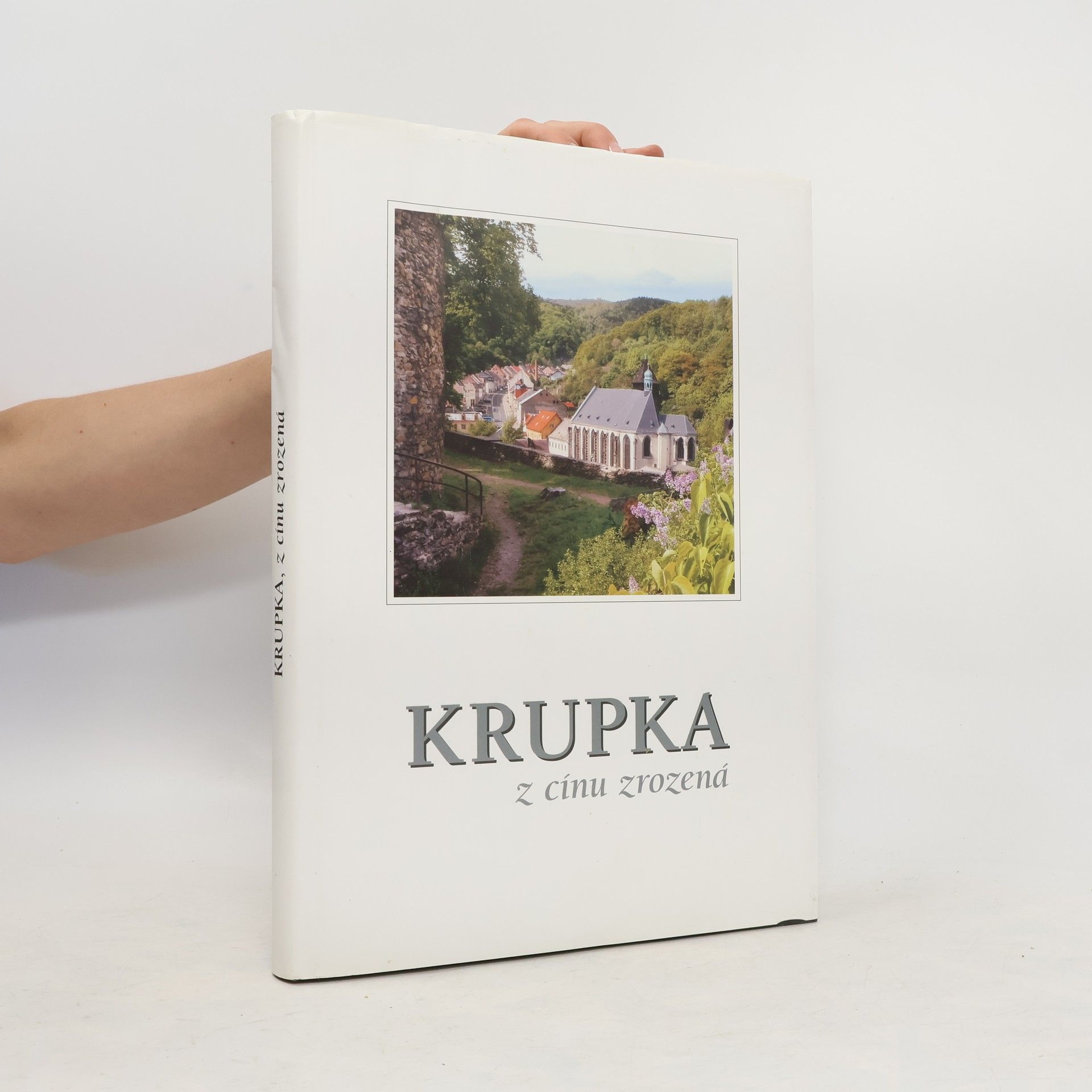 Collectif d'auteurs Krupka, z cínu zrozená