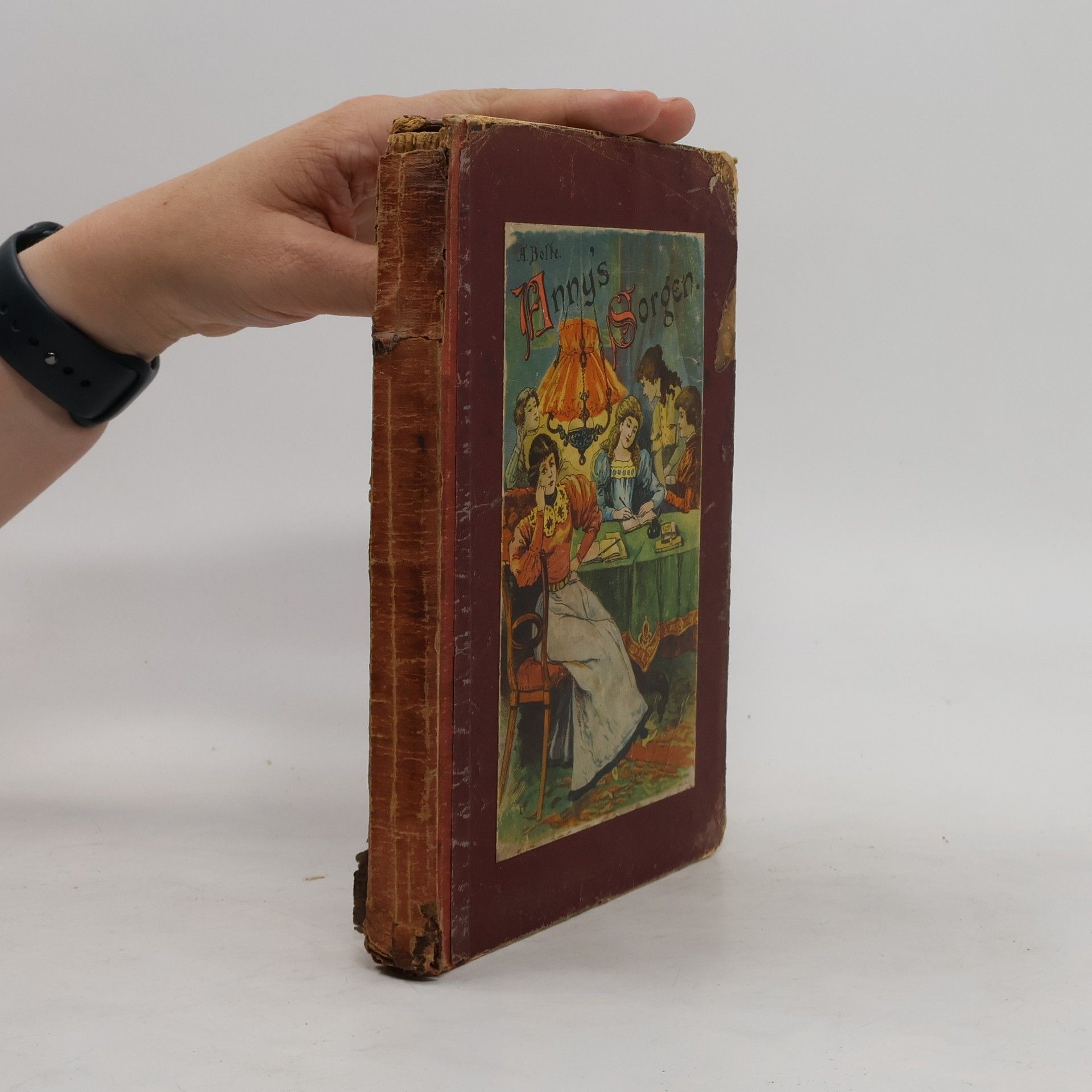 A. Bolke Anny’s Sorgen
