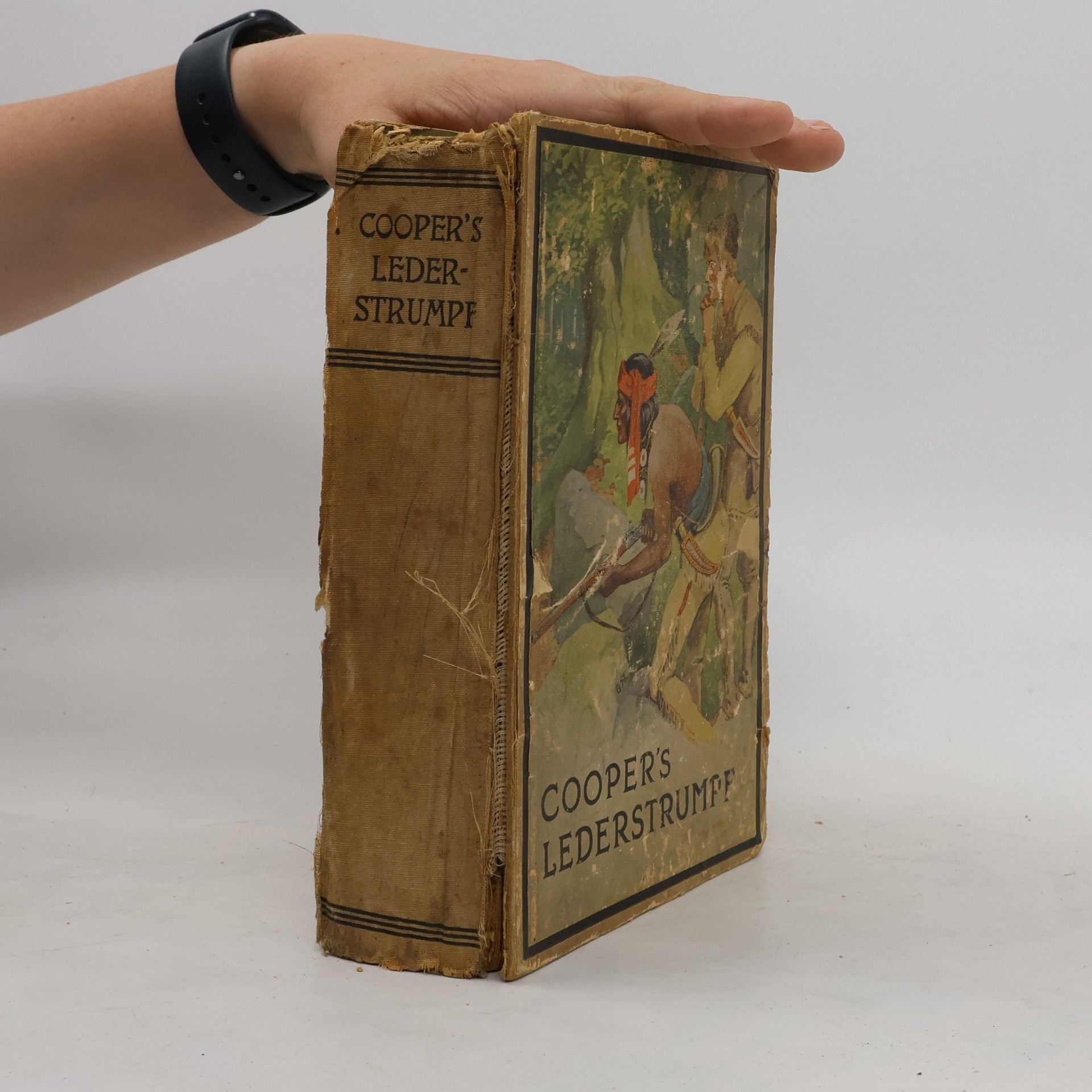 James Fenimore Cooper Cooper's Lederstrumpf