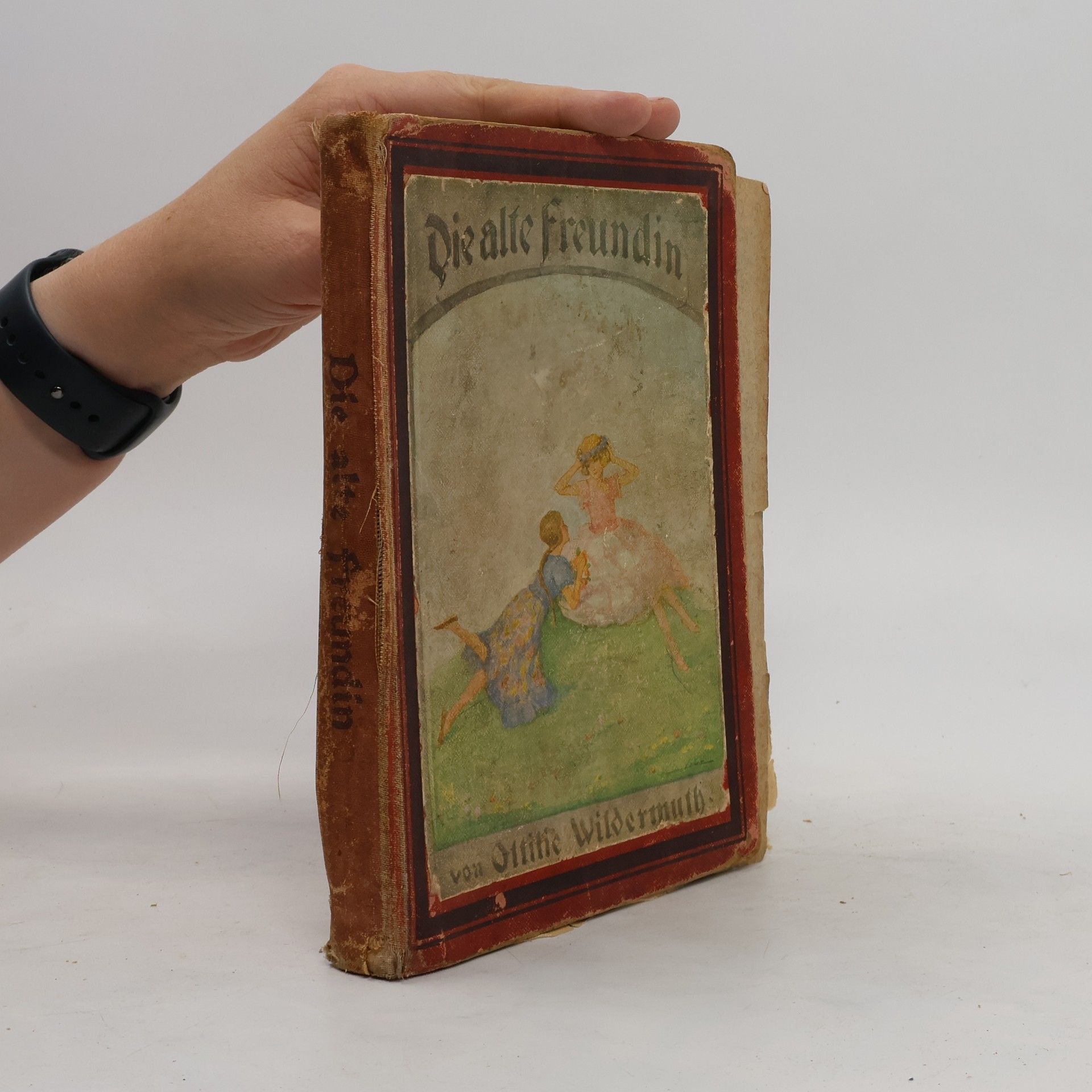 Ottilie Wildermuth Die alte Freundin