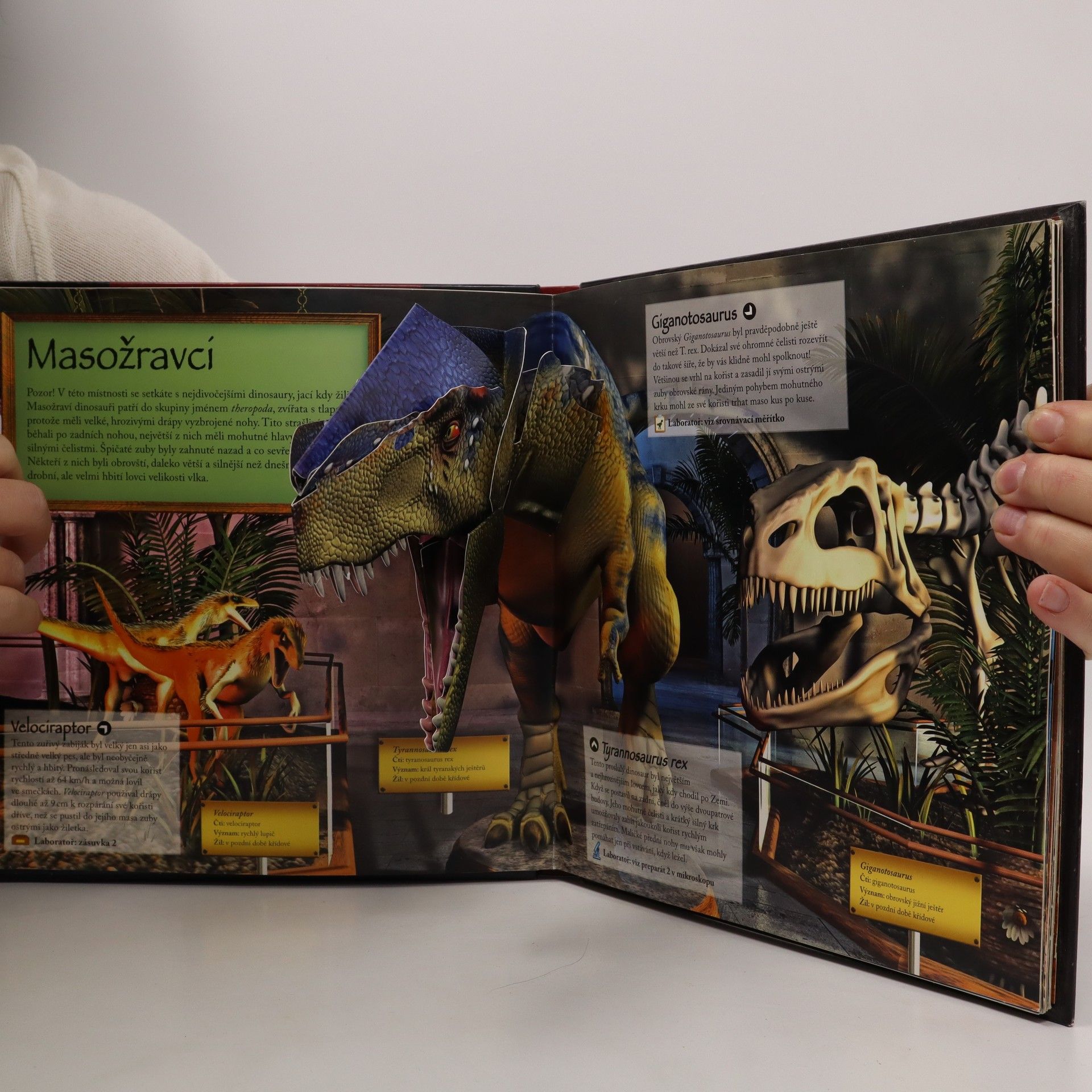 Jen Green Muzeum dinosaurů (pop-up leporelo viz foto)