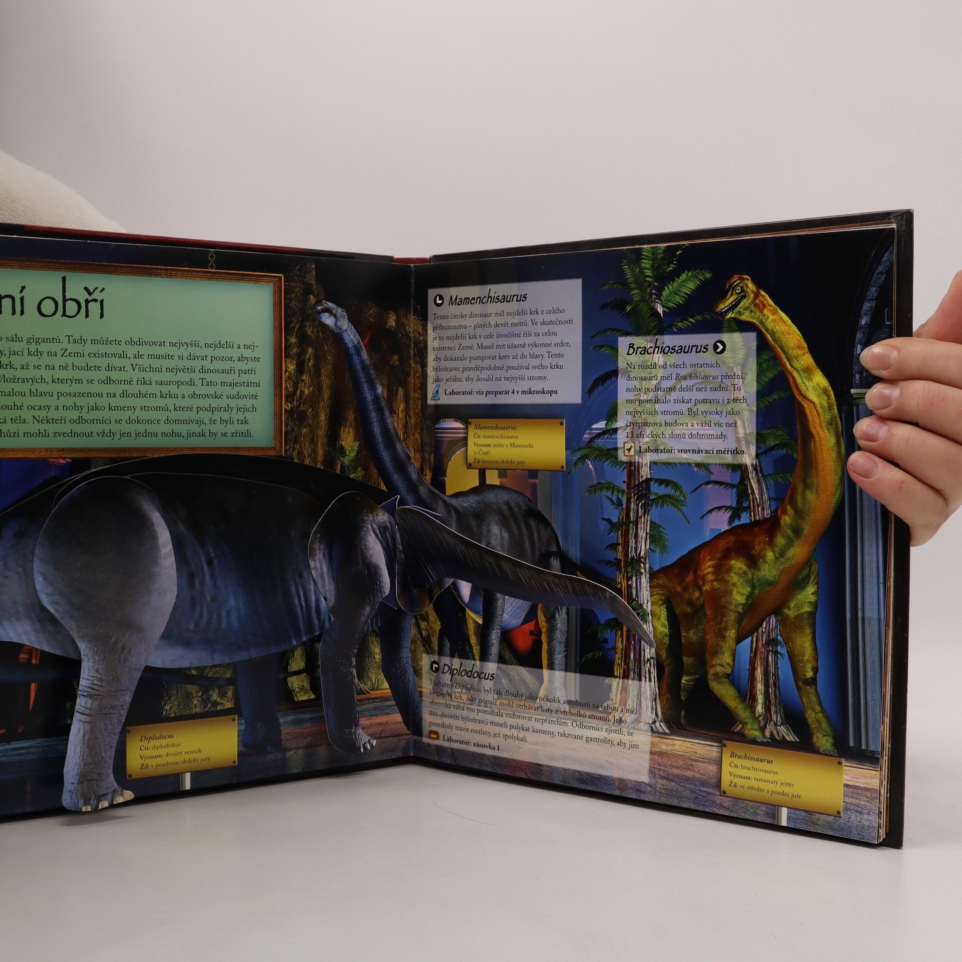 Jen Green Muzeum dinosaurů (pop-up leporelo viz foto)