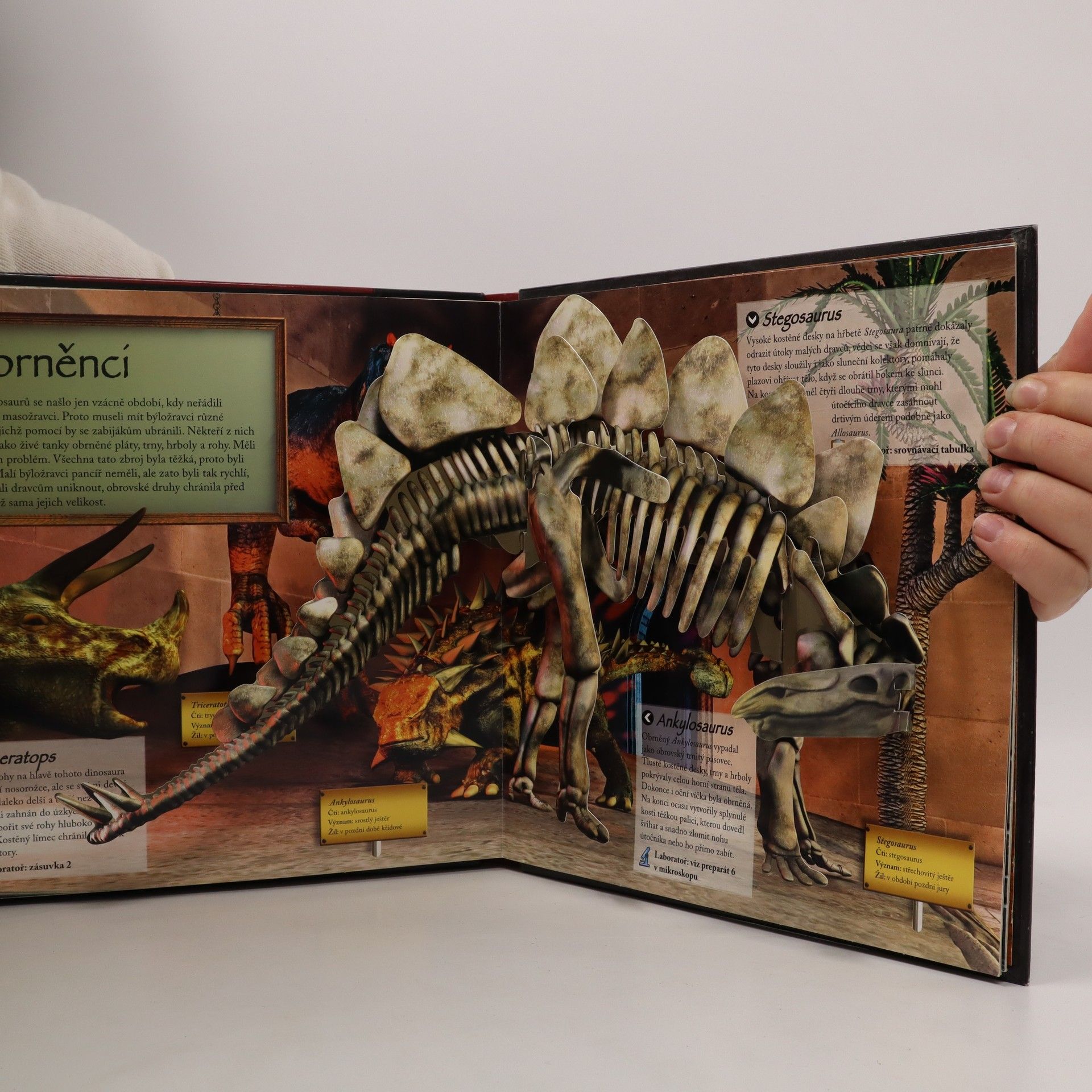 Jen Green Muzeum dinosaurů (pop-up leporelo viz foto)