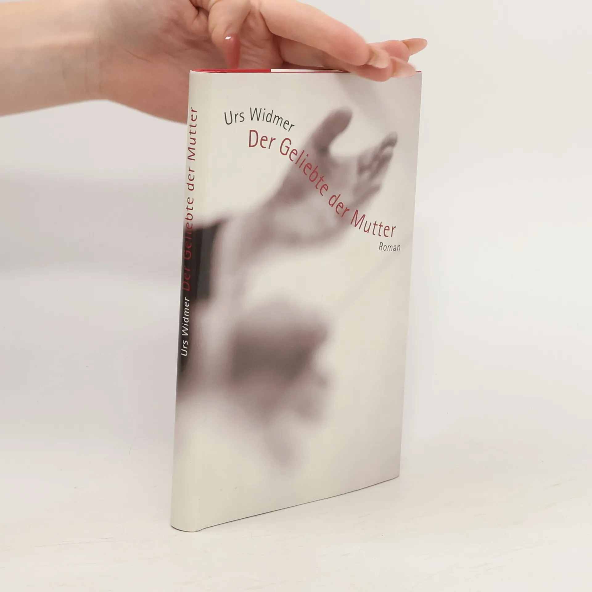 Der Geliebte der Mutter | Buch | Hardcover | Urs Widmer