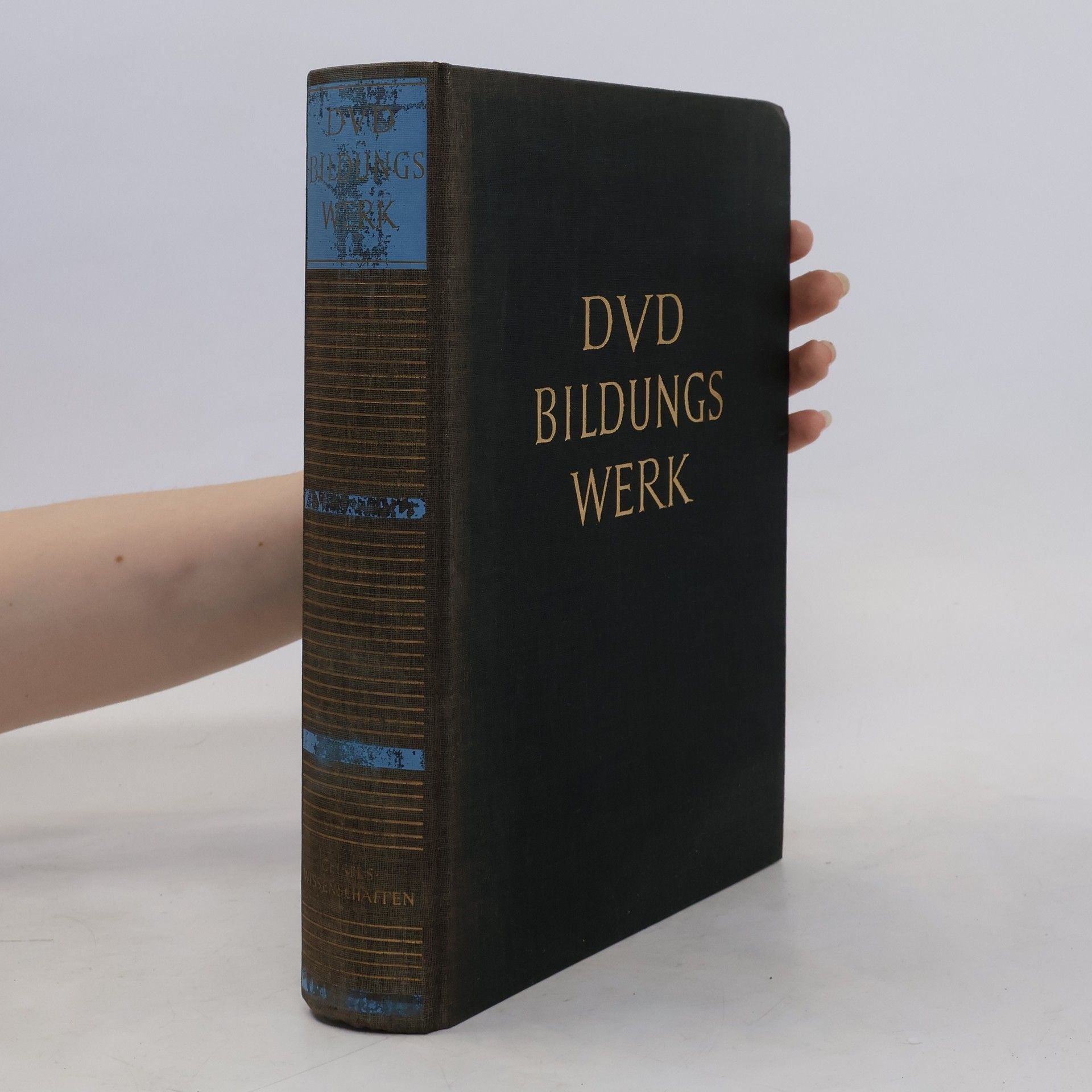 kolektiv DVD Bildungs Werk