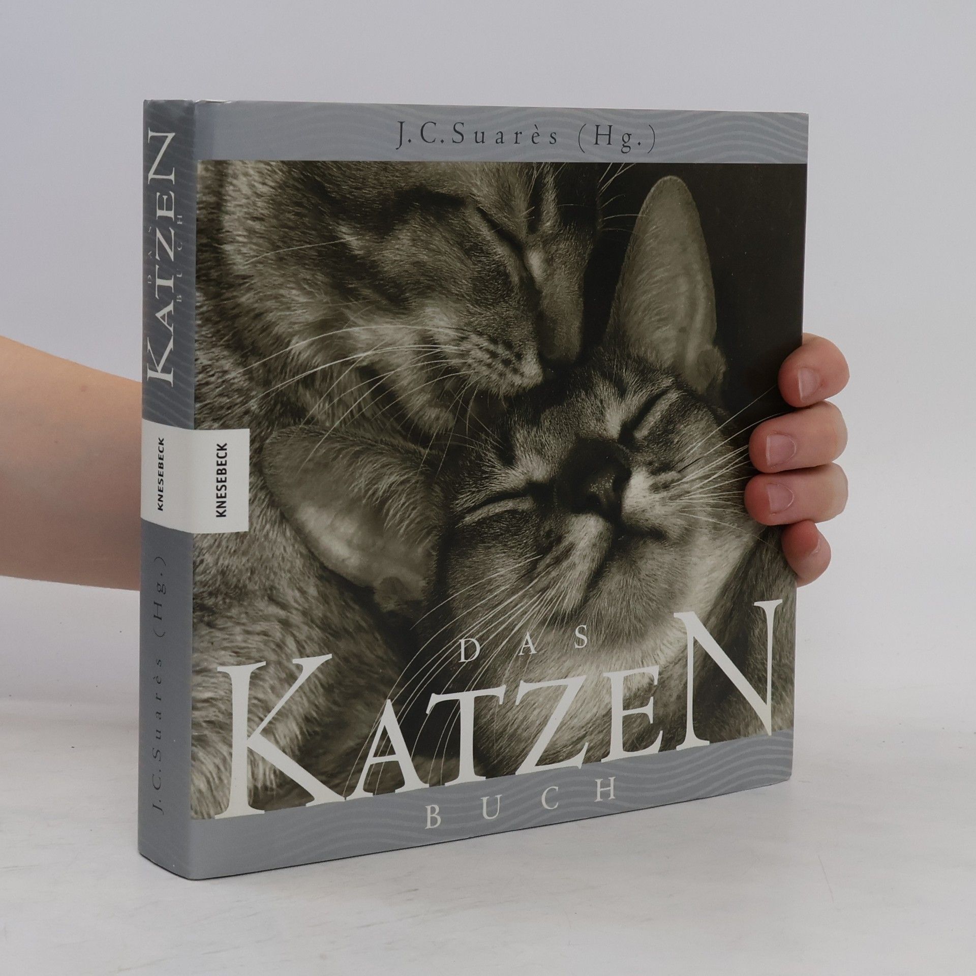 Jean-Claude Suarès Das Katzen-Buch