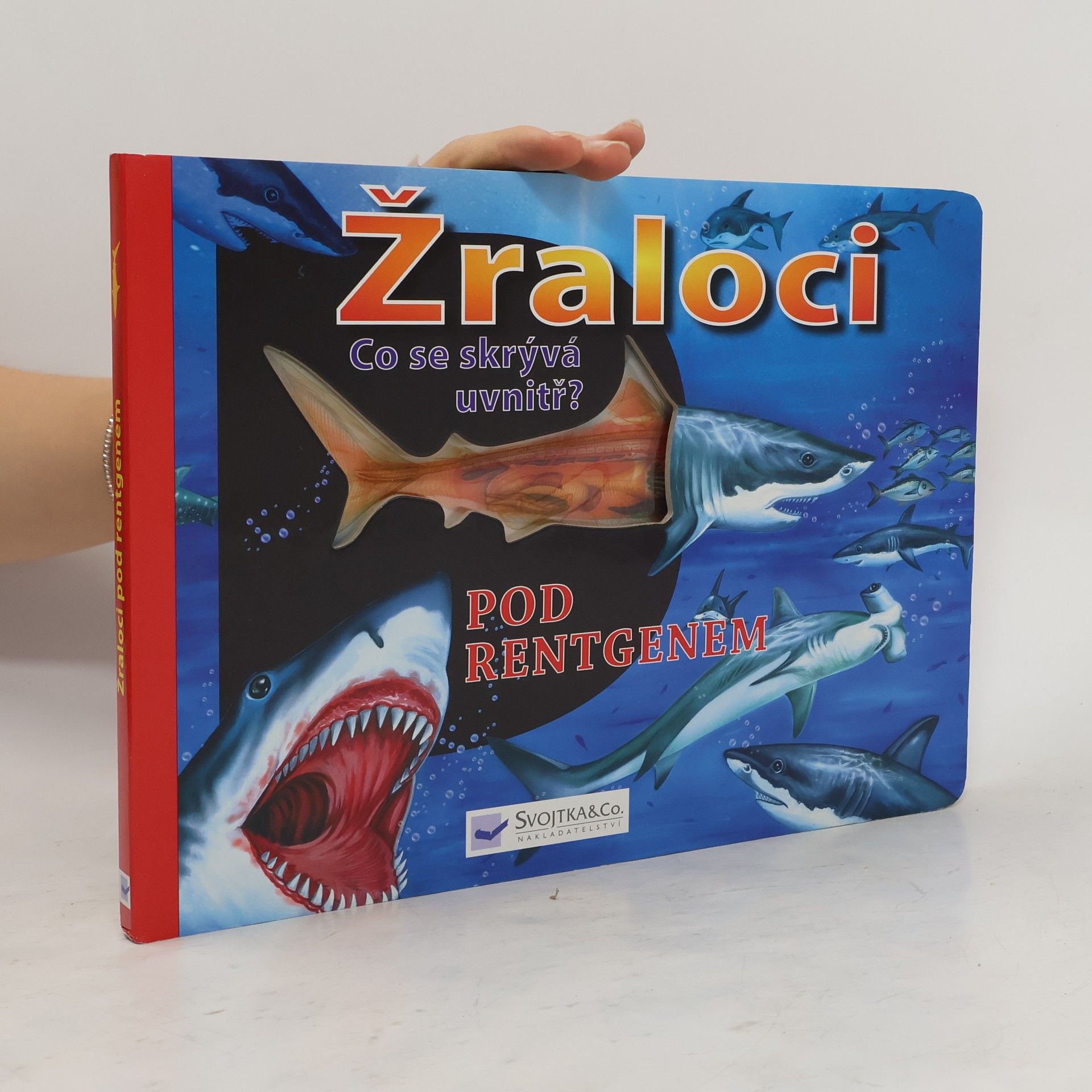 Jaroslav Kučera Žraloci pod rentgenem : co se skrývá uvnitř?