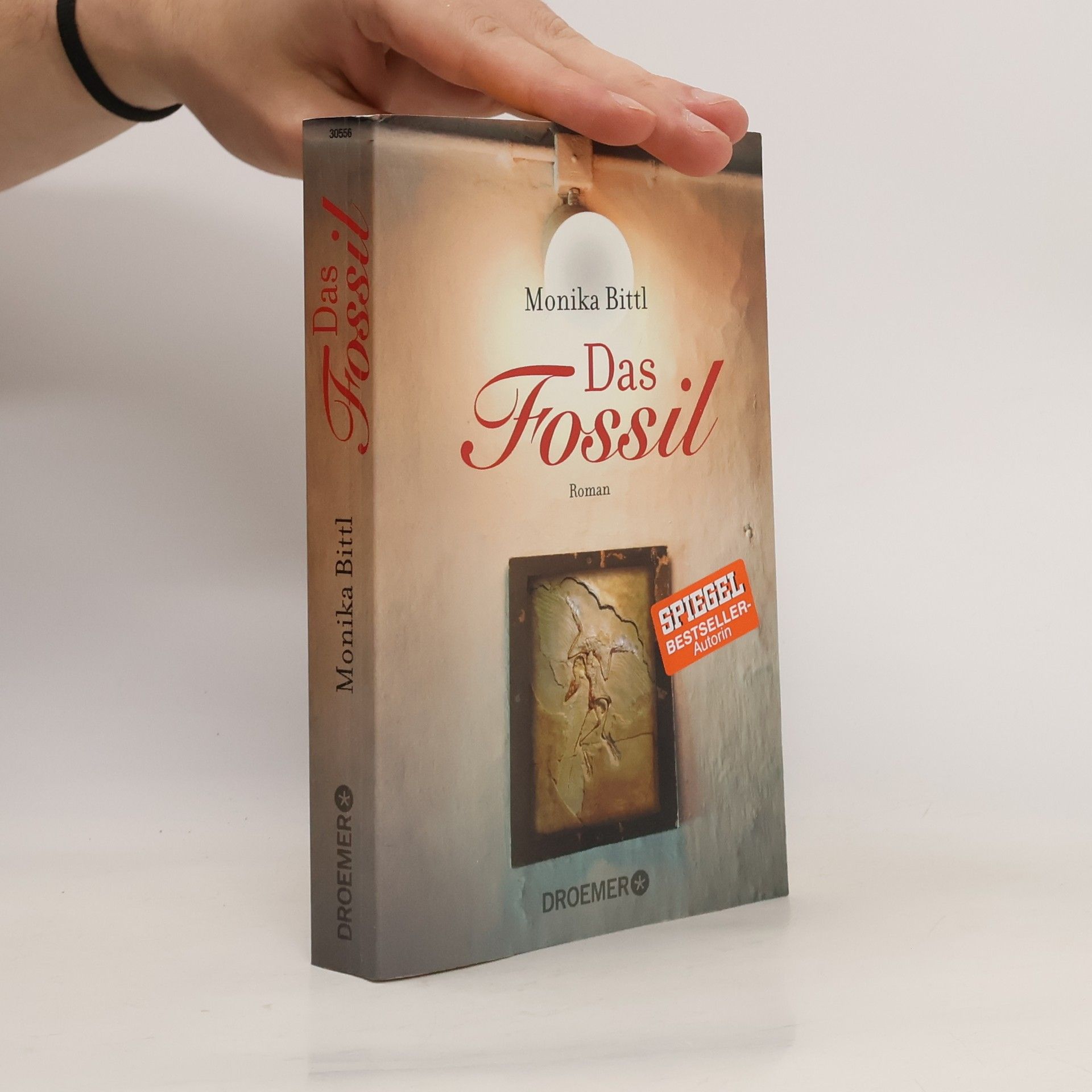 Monika Bittl Das Fossil