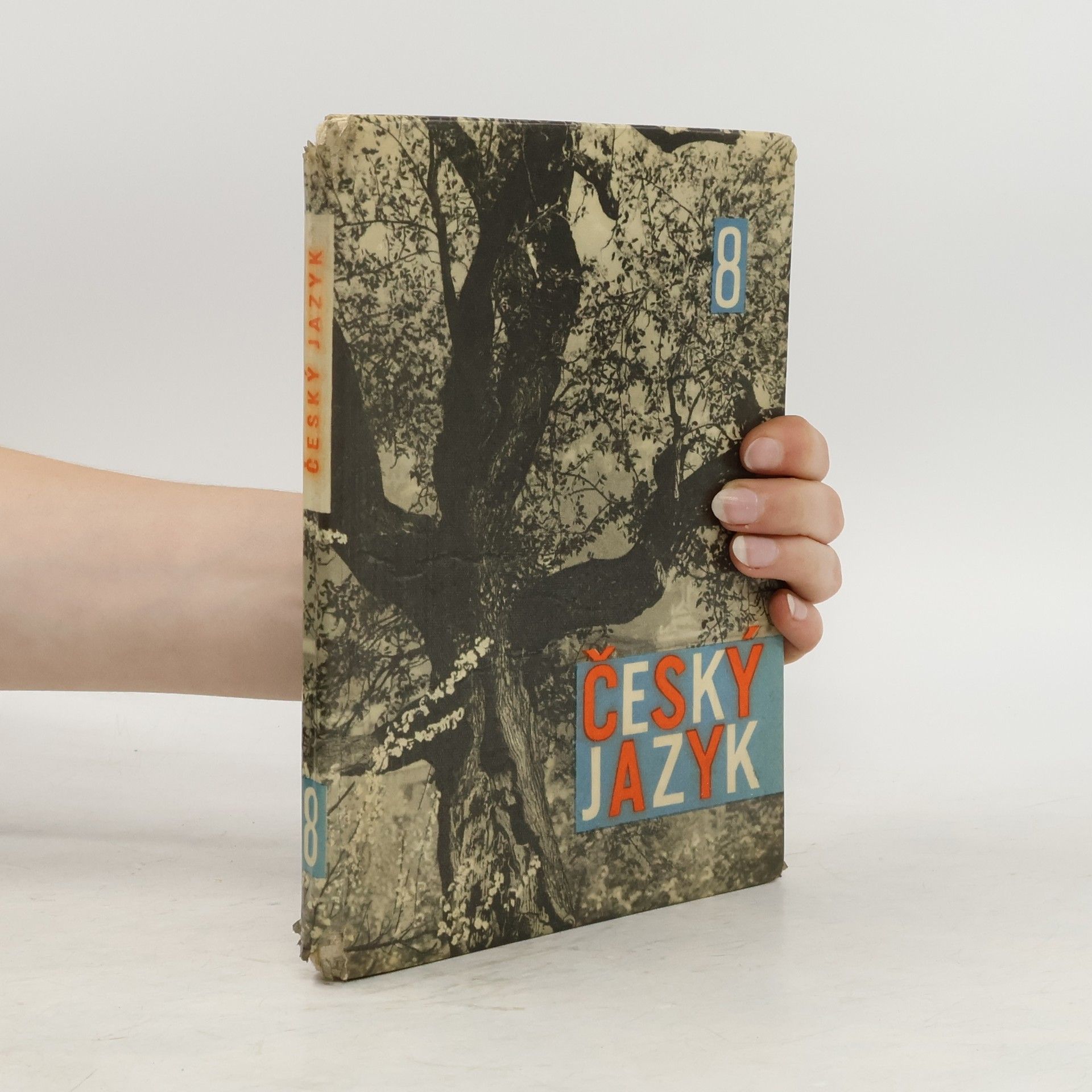 Collectif d'auteurs Český jazyk pro osmý ročník