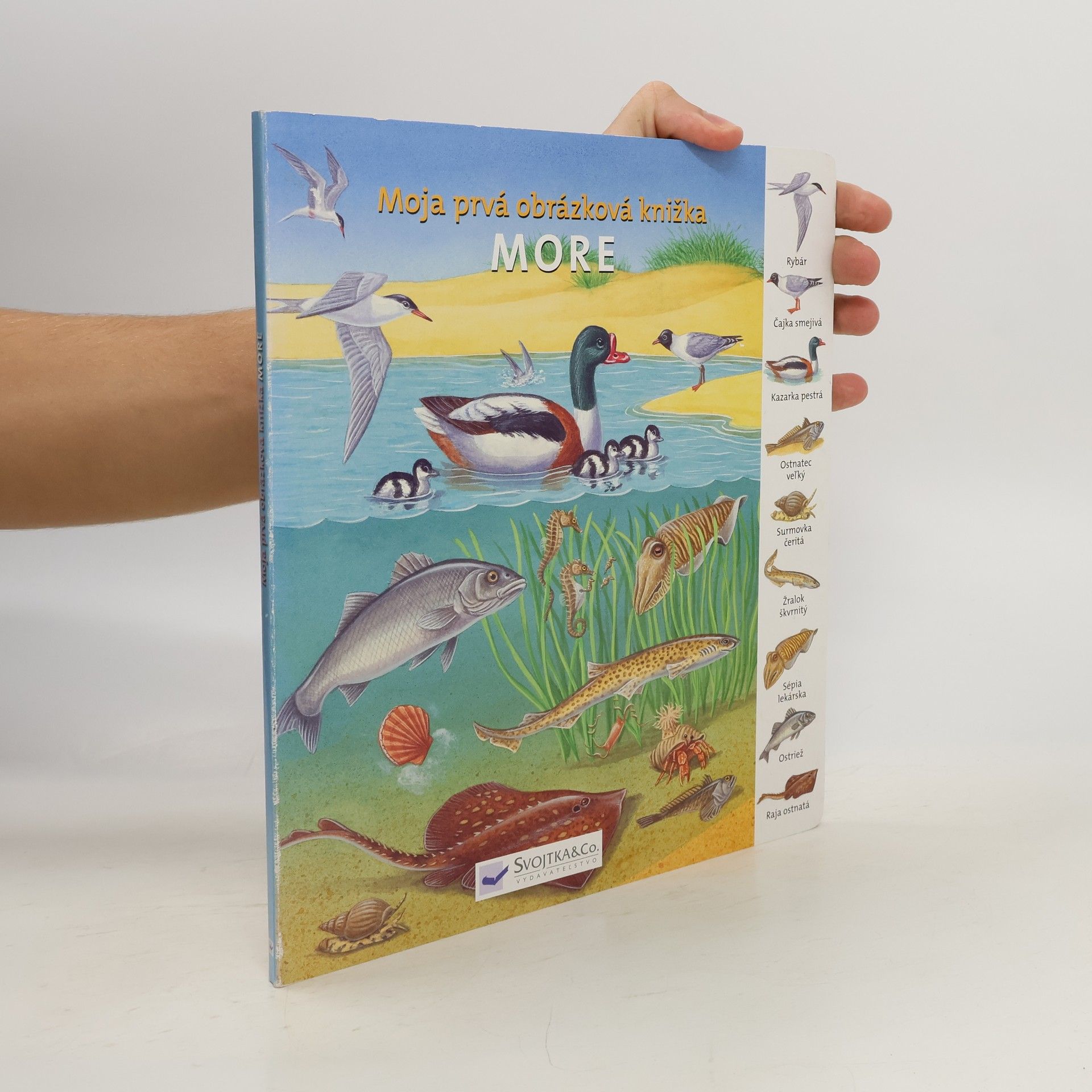 Kolektív autorov Moja prvá obrázková knižka - More