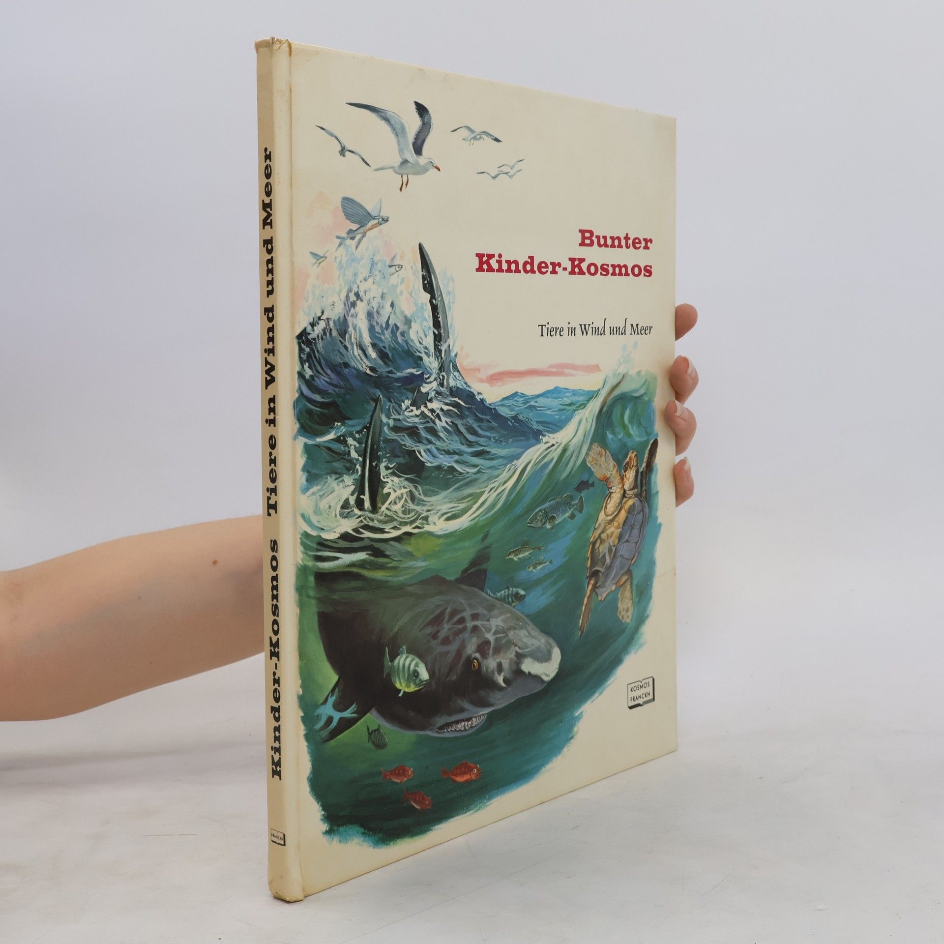 Rinaldo D. D'Ami Tiere in Wind und Meer