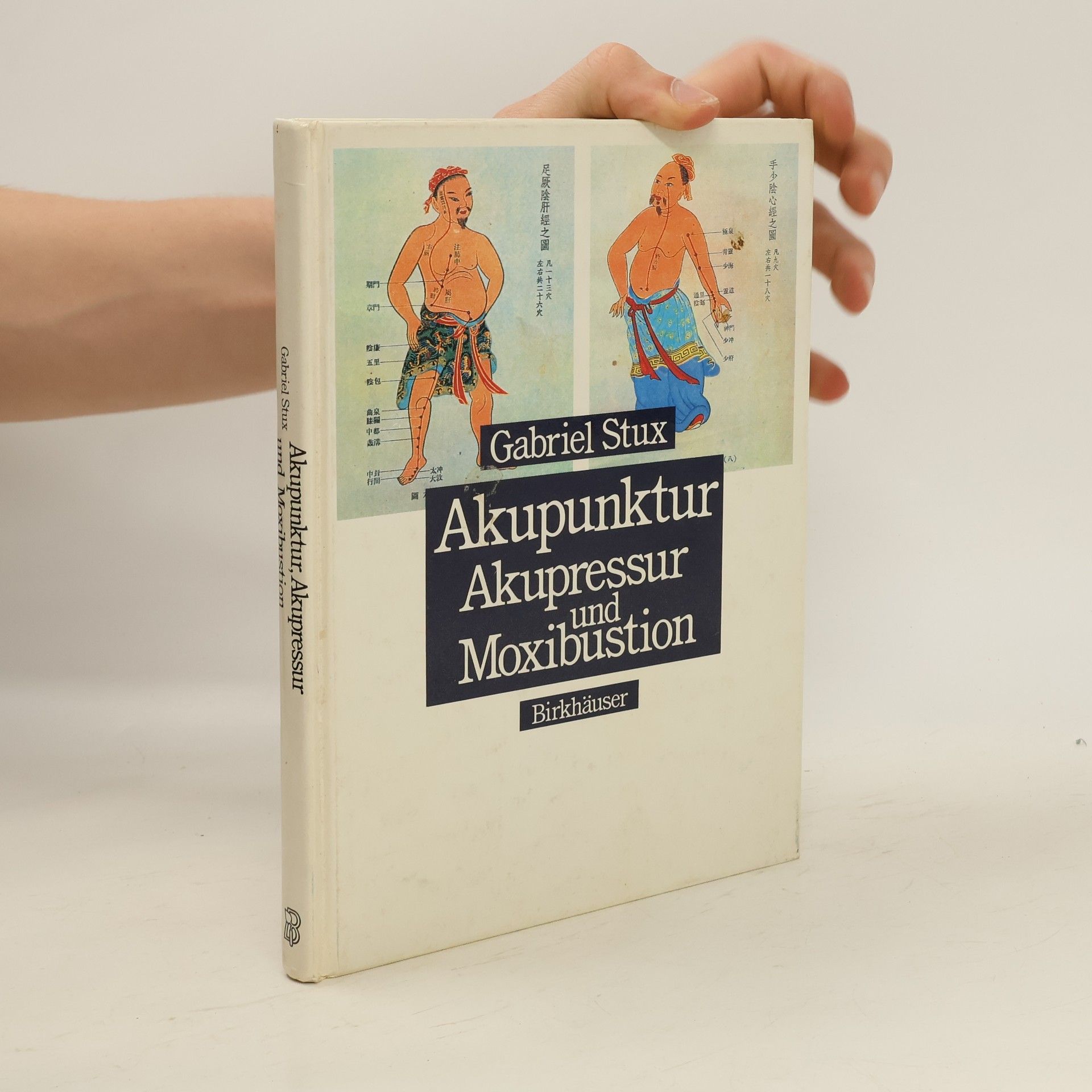 Gabriel Stux Akupunktur, Akupressur und Moxibustion