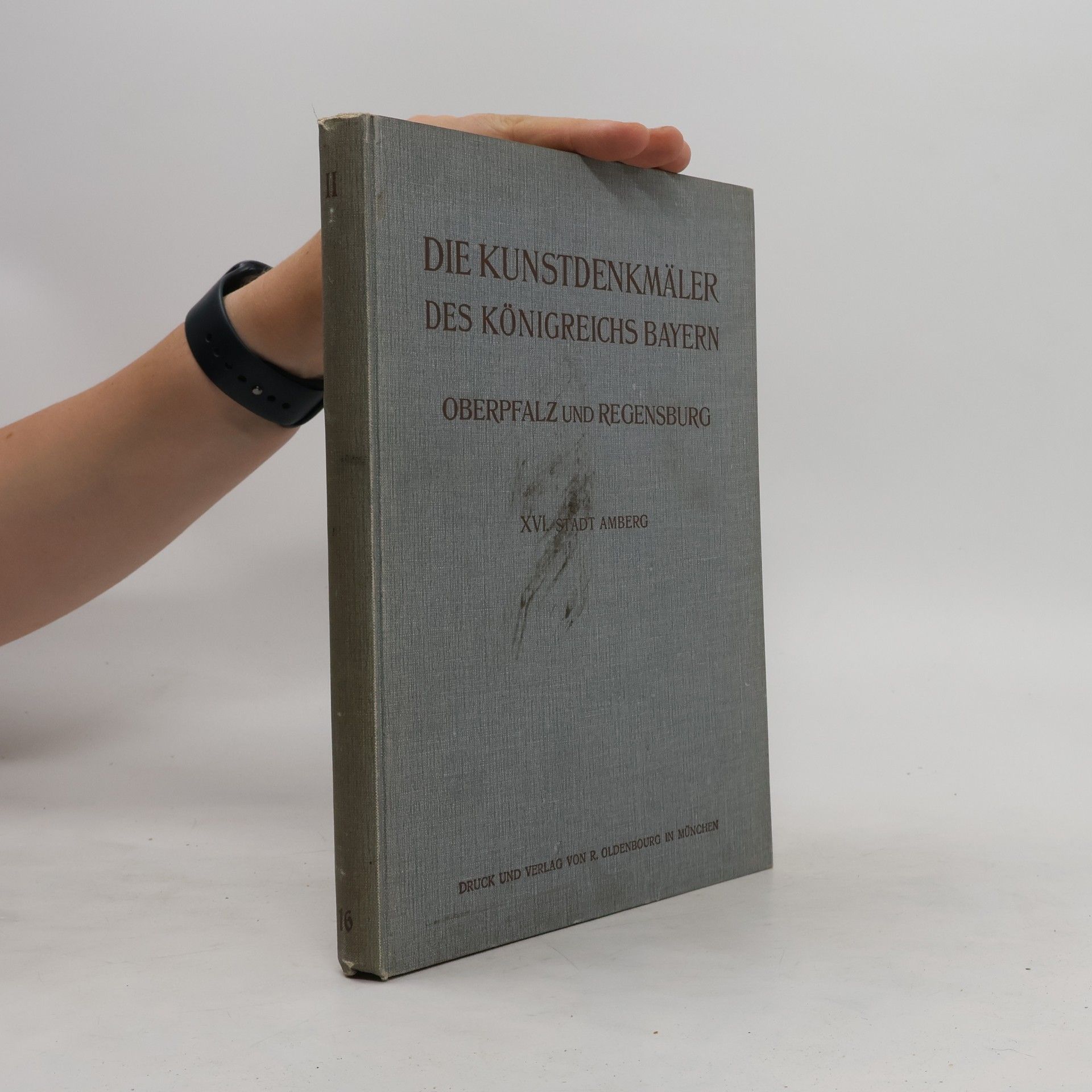 Georg Hager Die Kunstdenkmäler des Königreichs Bayern. Oberpfalz und Regensburg XVI.