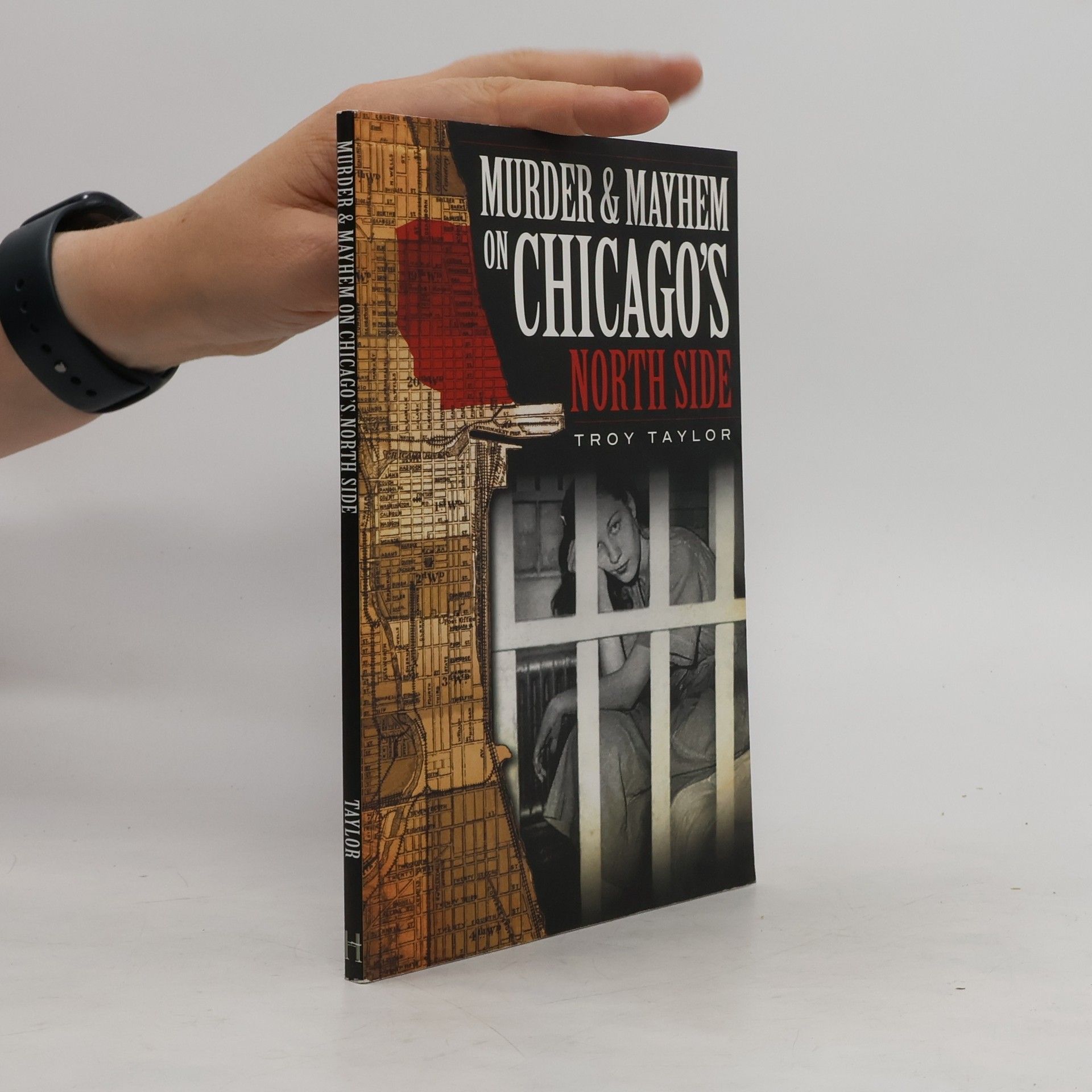 Troy Taylor Murder & Mayhem on Chicago's North Side