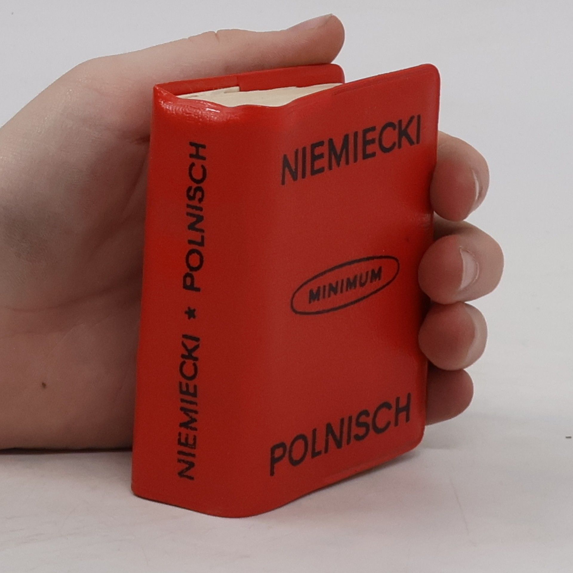 Autorenkollektiv Niemiecki. Polnisch