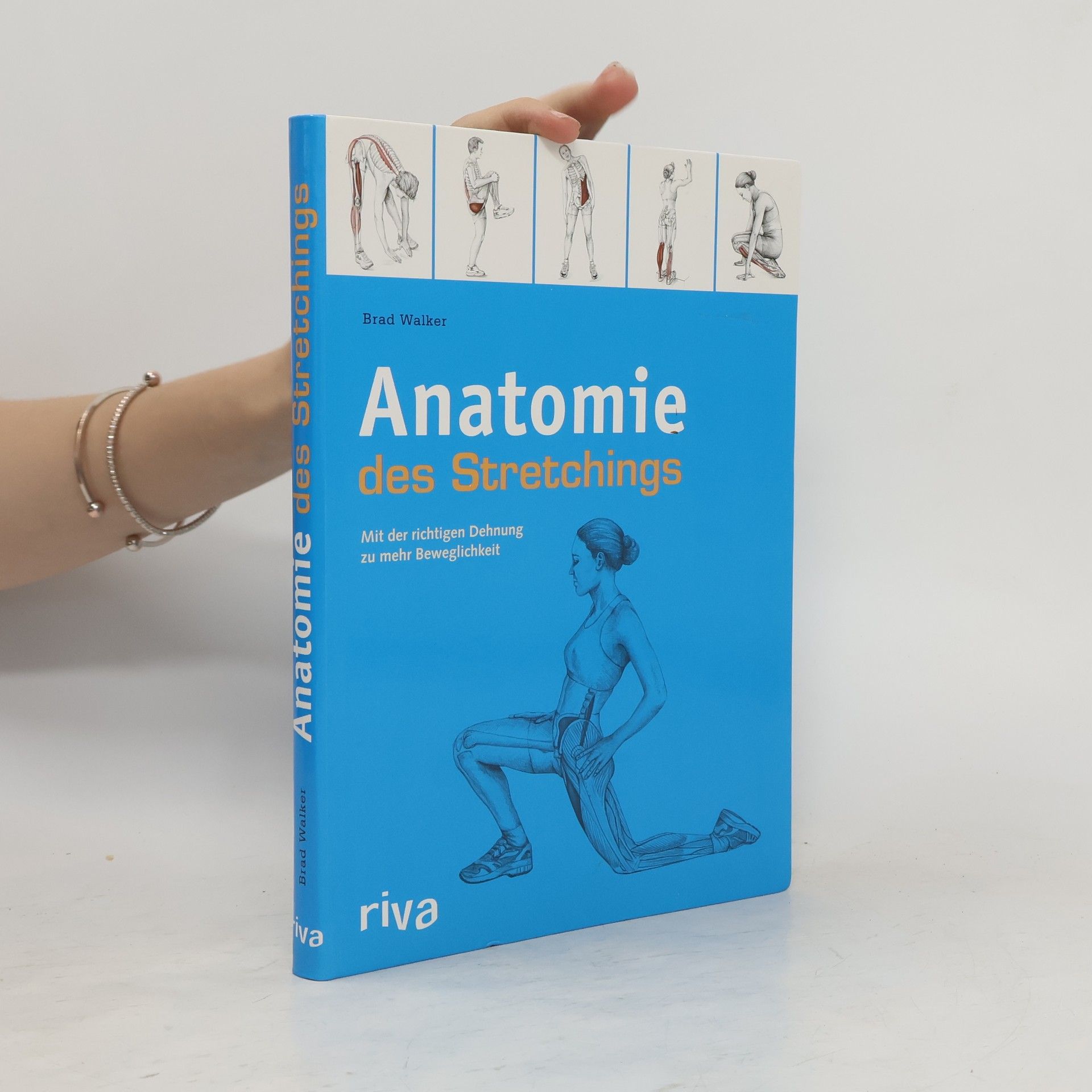 Brad Walker Anatomie des Stretchings