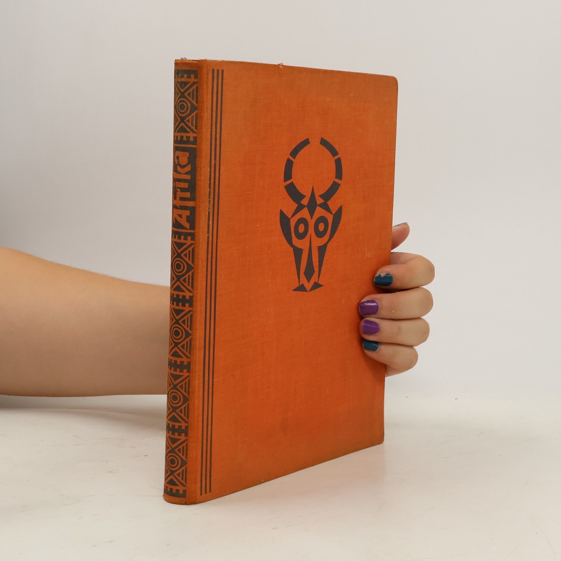 Afrika. Reise durch einen sich wandelnden Kontinent