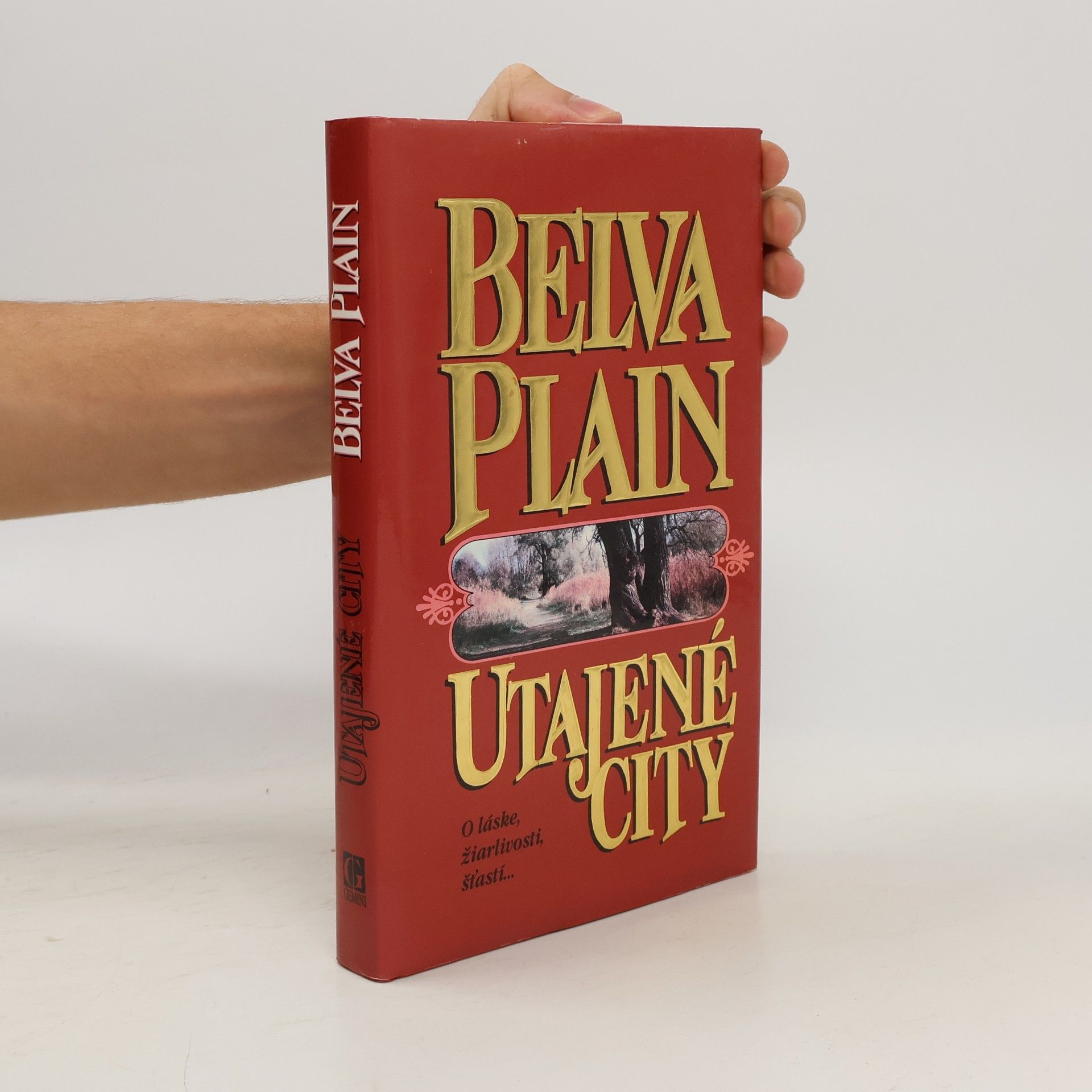 Belva Plain Utajené city