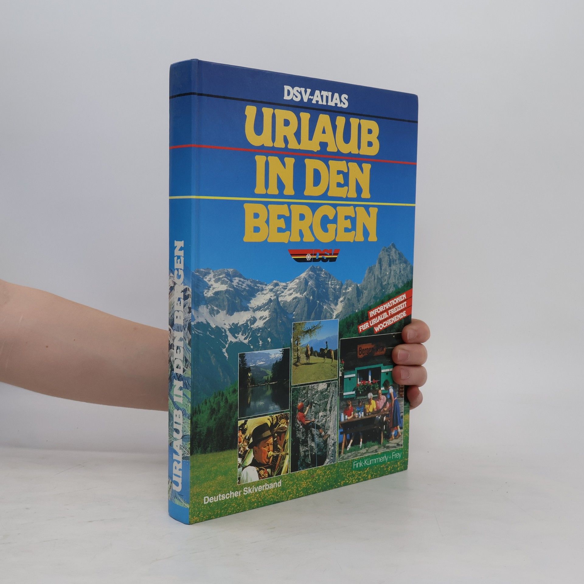 Albert Allgaier Urlaub in den Bergen