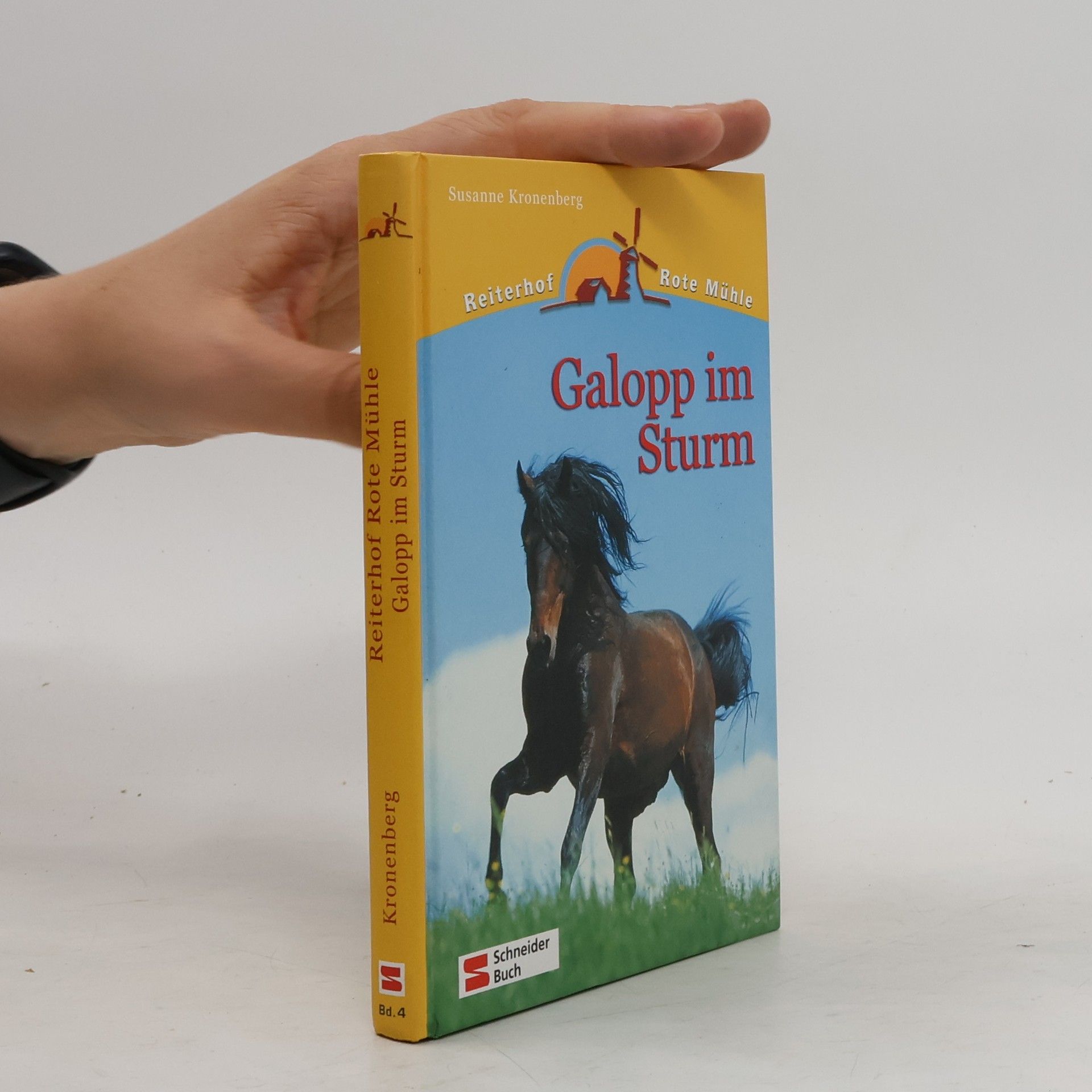 Susanne Kronenberg Galopp im Sturm