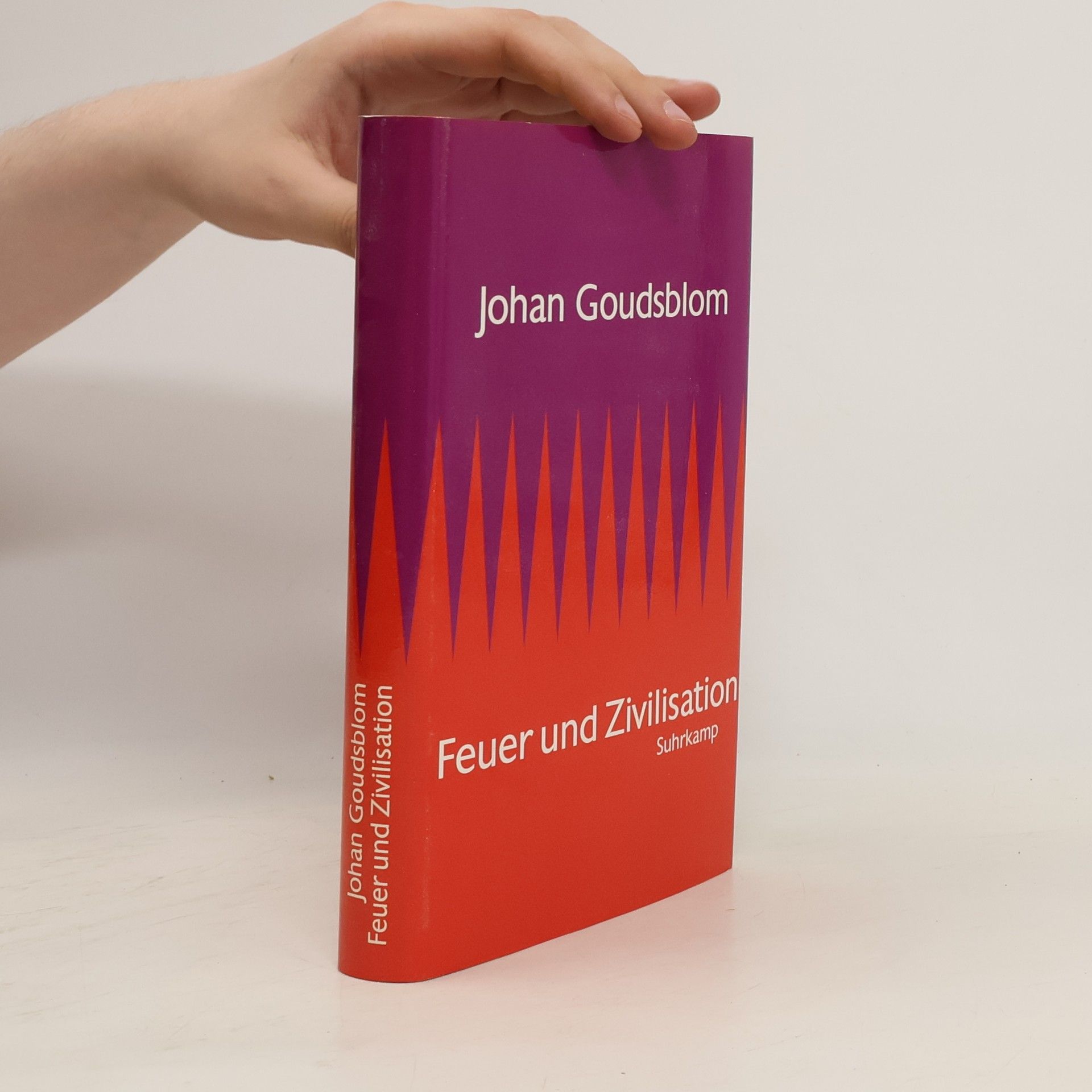 Johan Goudsblom Feuer und Zivilisation