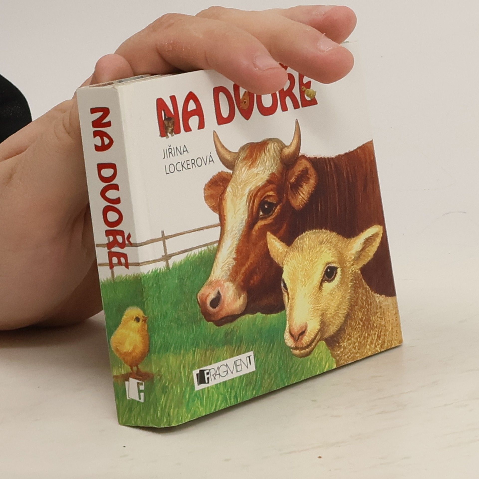 Jiřina Lockerová Na dvoře
