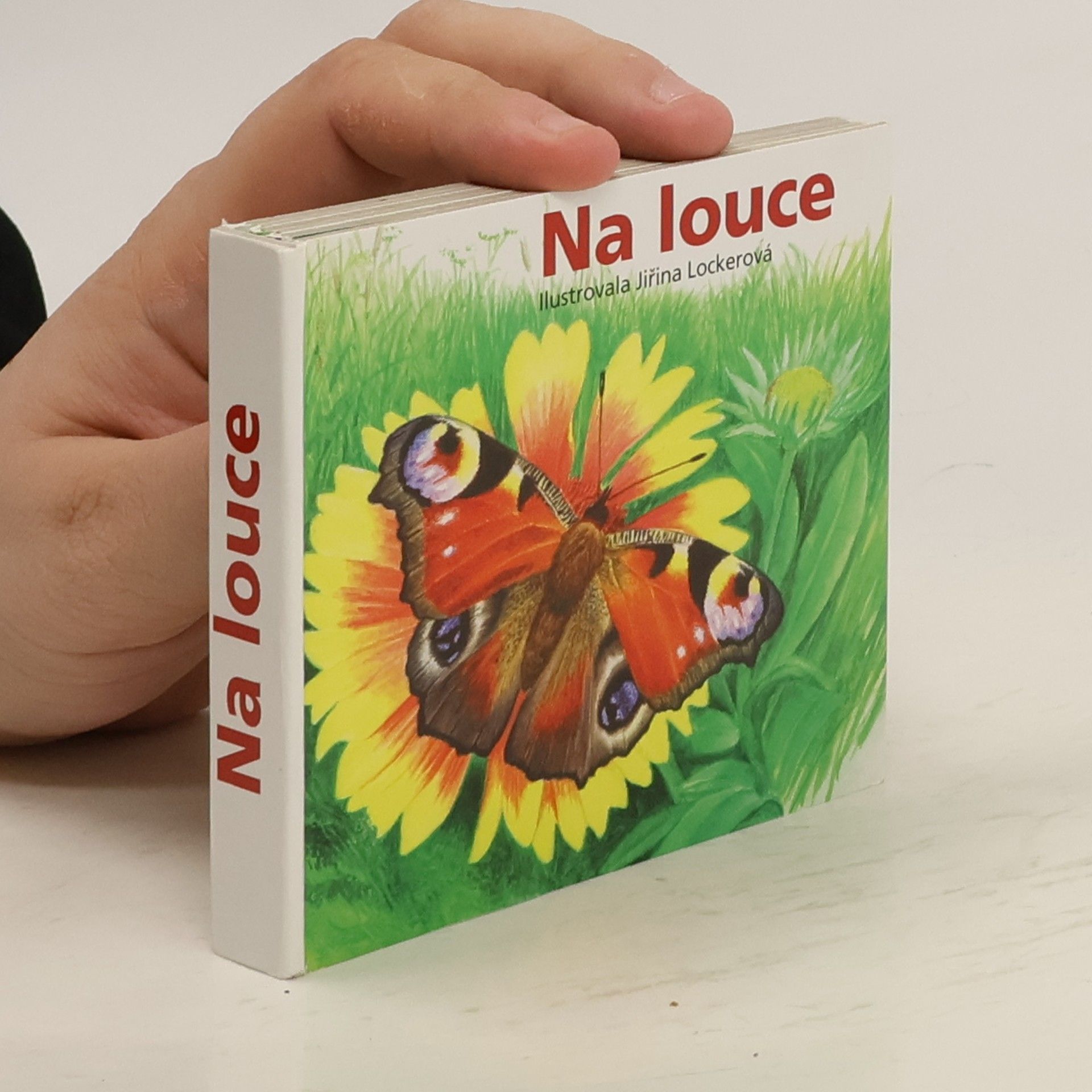 Jiřina Lockerová Na louce