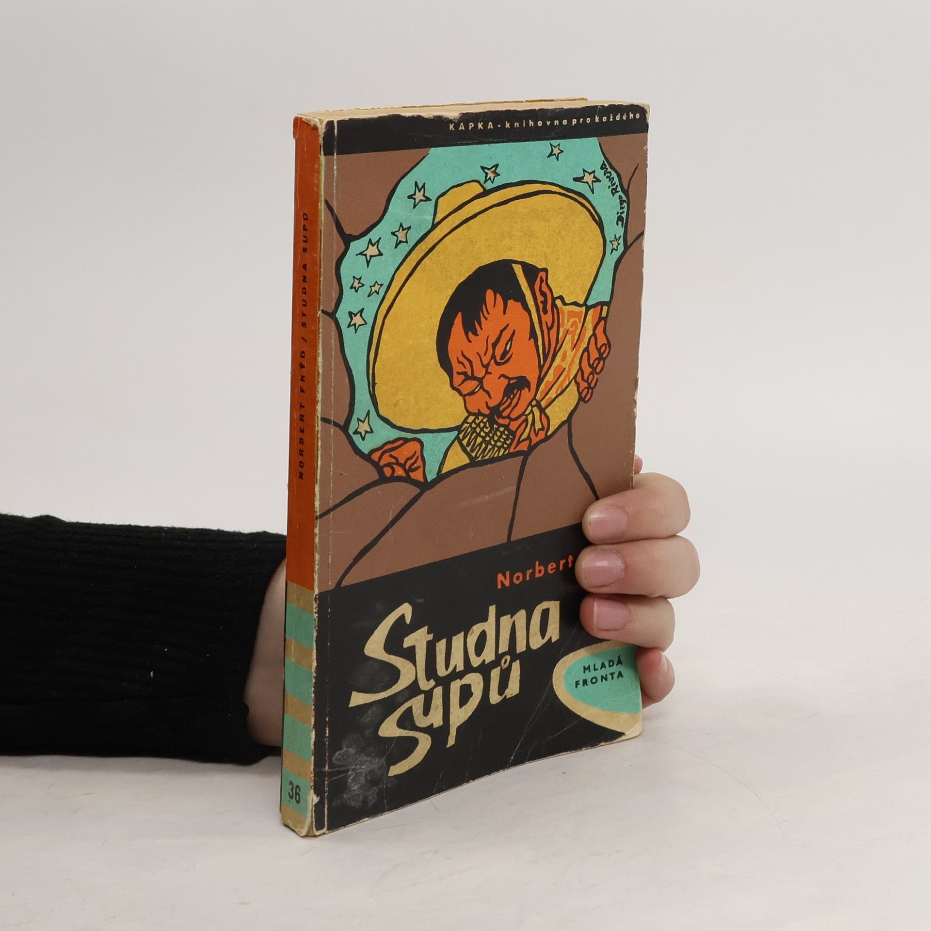 Norbert Frýd Studna supů