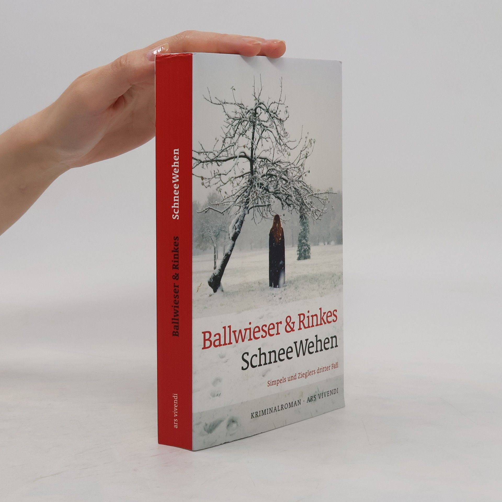 Roland Ballwieser SchneeWehen