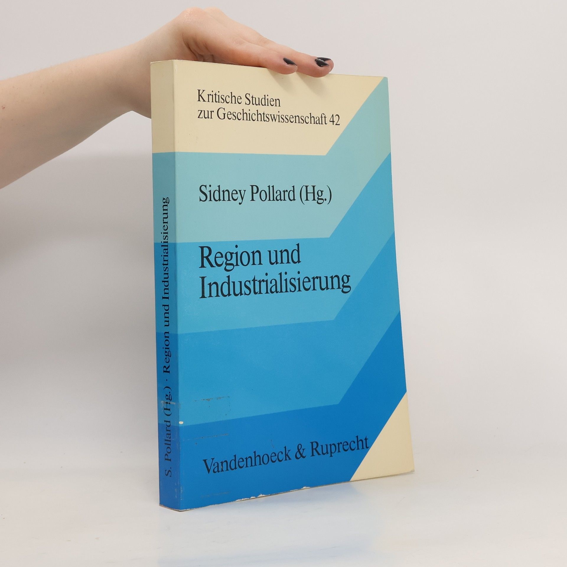 Sidney Pollard Region und Industrialisierung