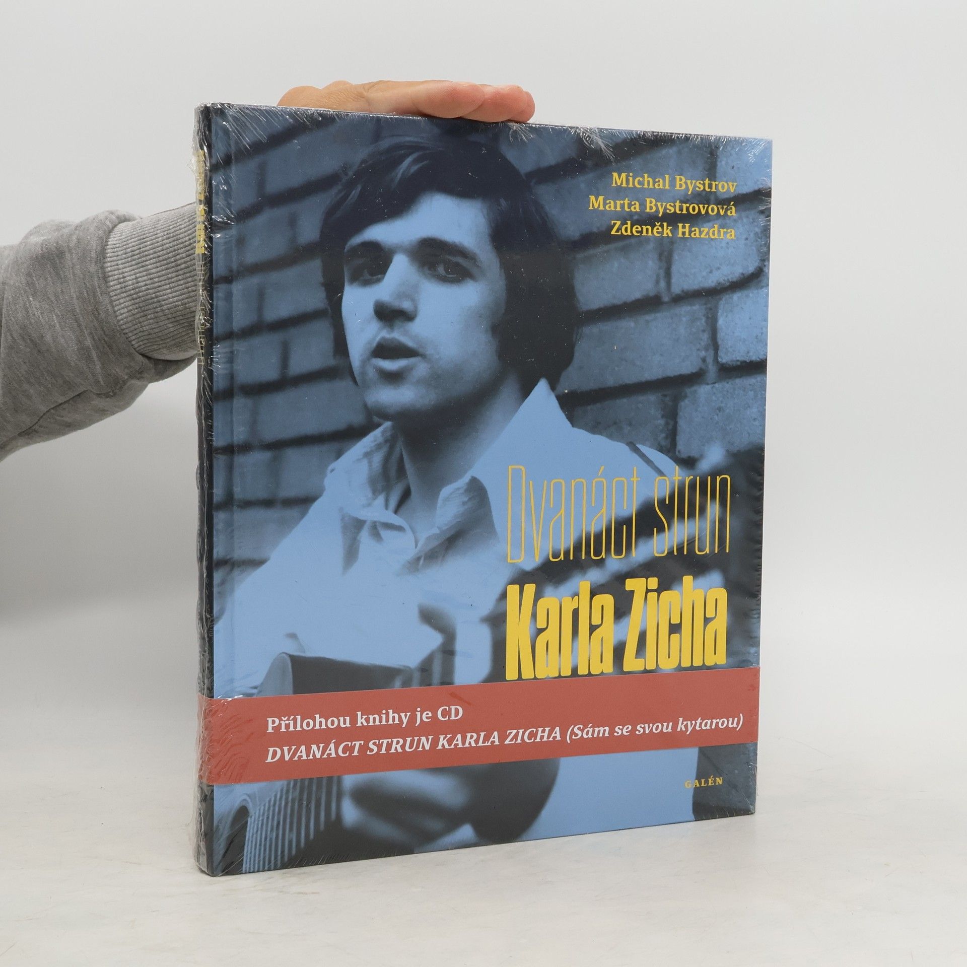 Michal Bystrov Dvanáct strun Karla Zicha