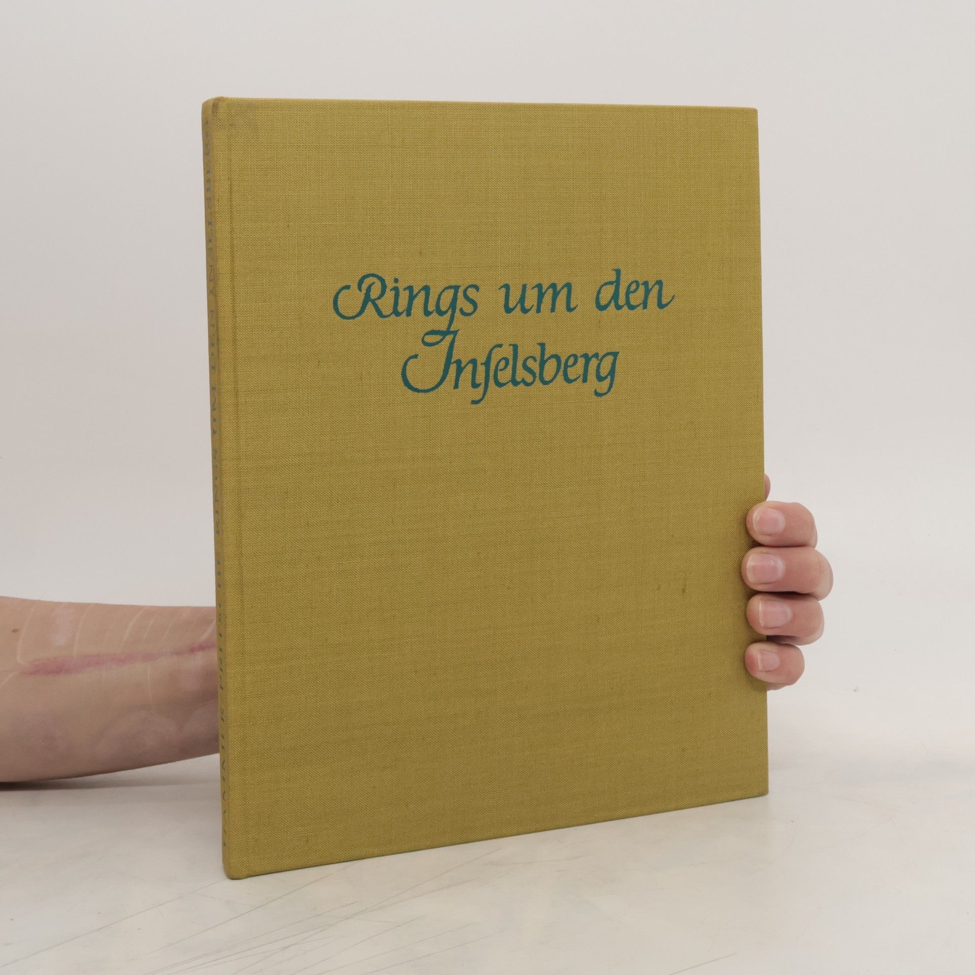 Willy Pritsche Rings um den Inselsberg
