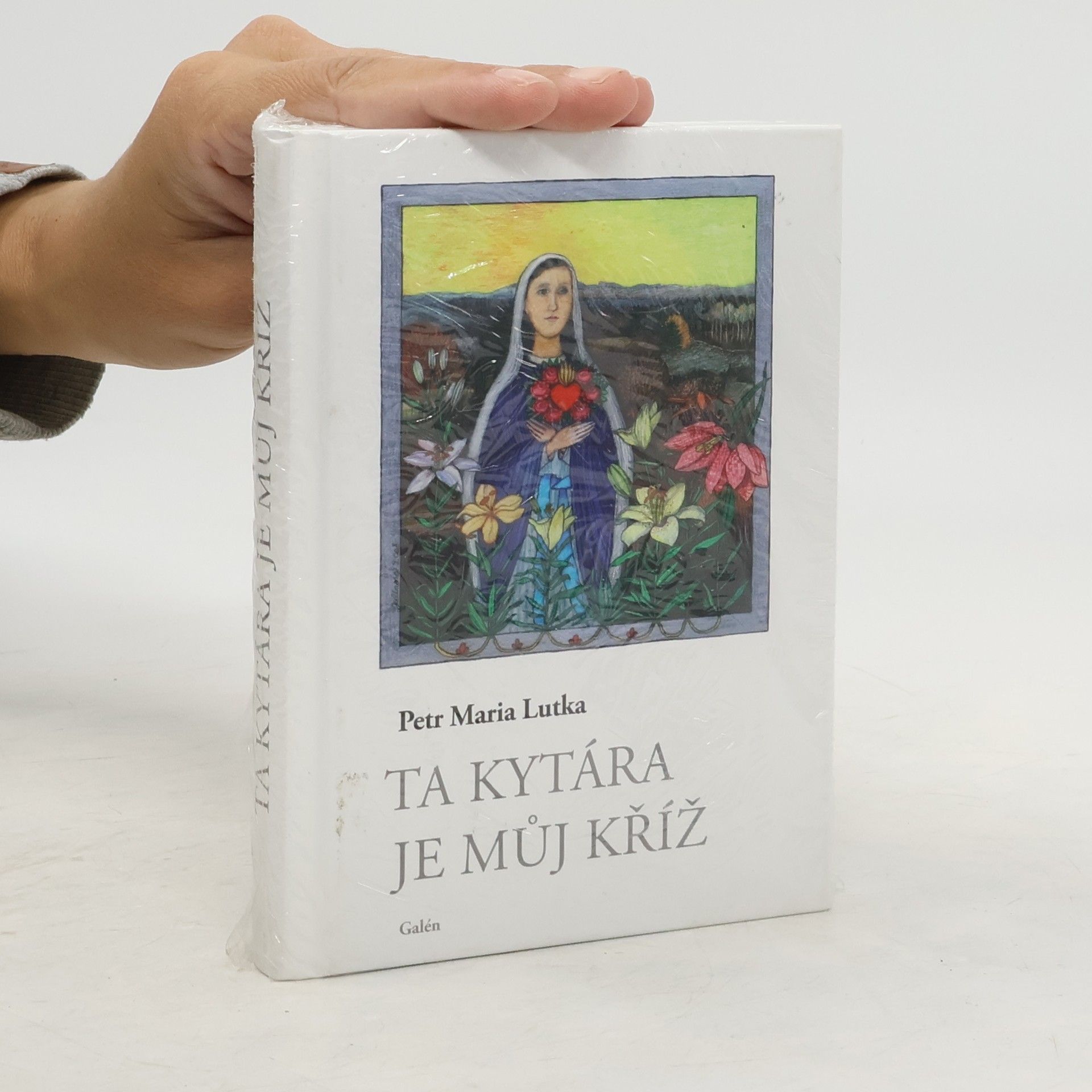 Petr Lutka Ta kytára je můj kříž