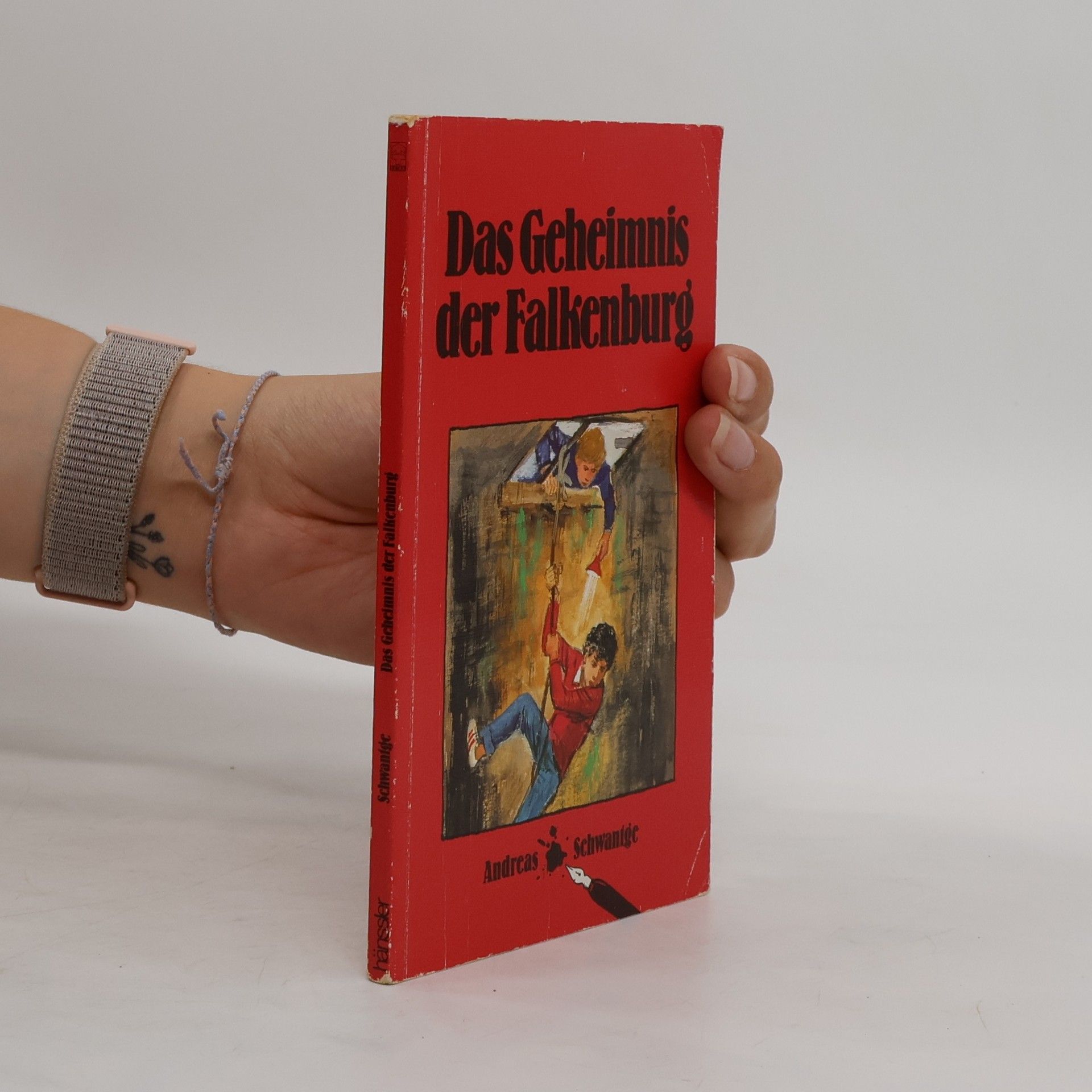 Andreas Schwantge Das Geheimnis der Falkenburg