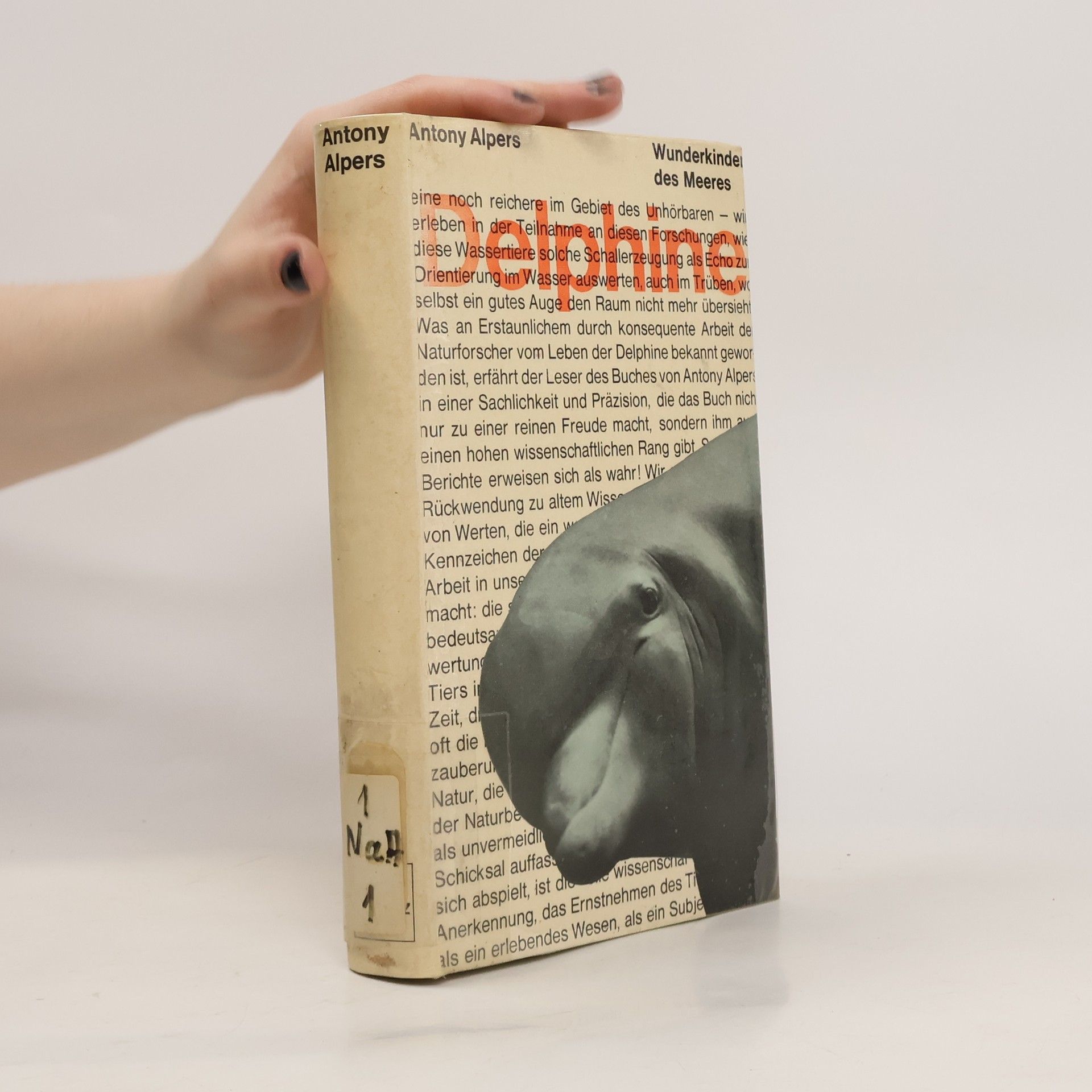 Antony Alpers Delphine