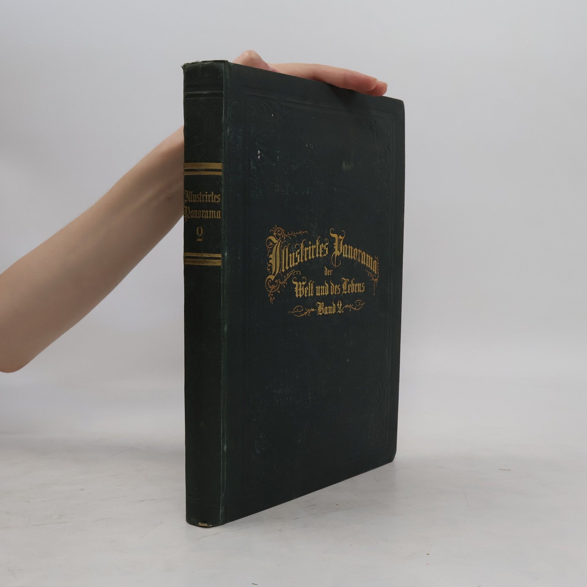 Collectif d'auteurs Illustrirtes Panorama der Welt und des Lebens. Band 2