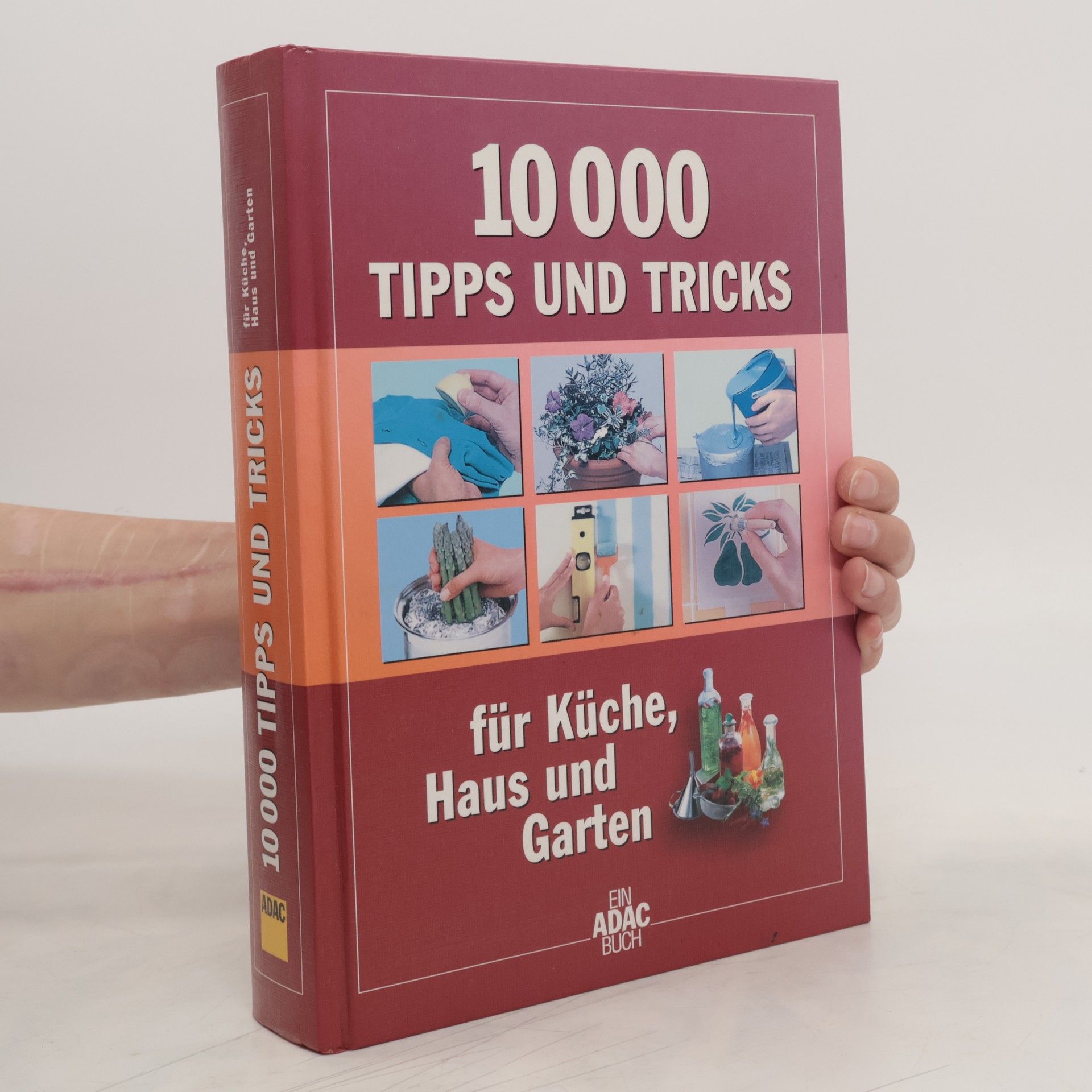 Cornelia Schubert 10000 Tipps und Tricks
