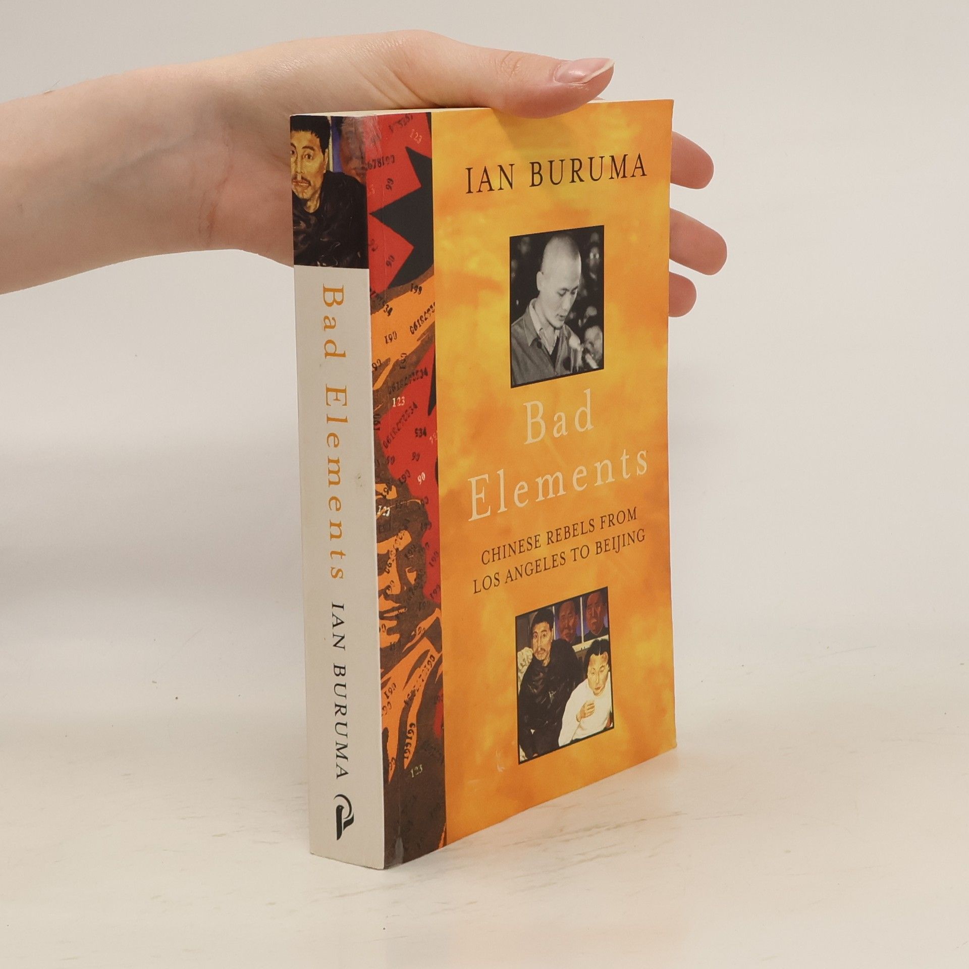 Ian Buruma Bad Elements