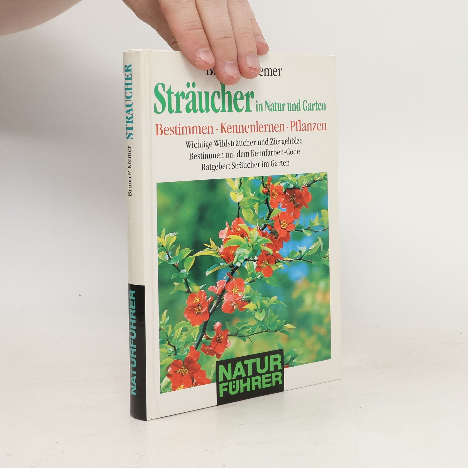 Bruno Kremer Sträucher in Natur und Garten. Bestimmen - Kennenlernen - Pflanzen