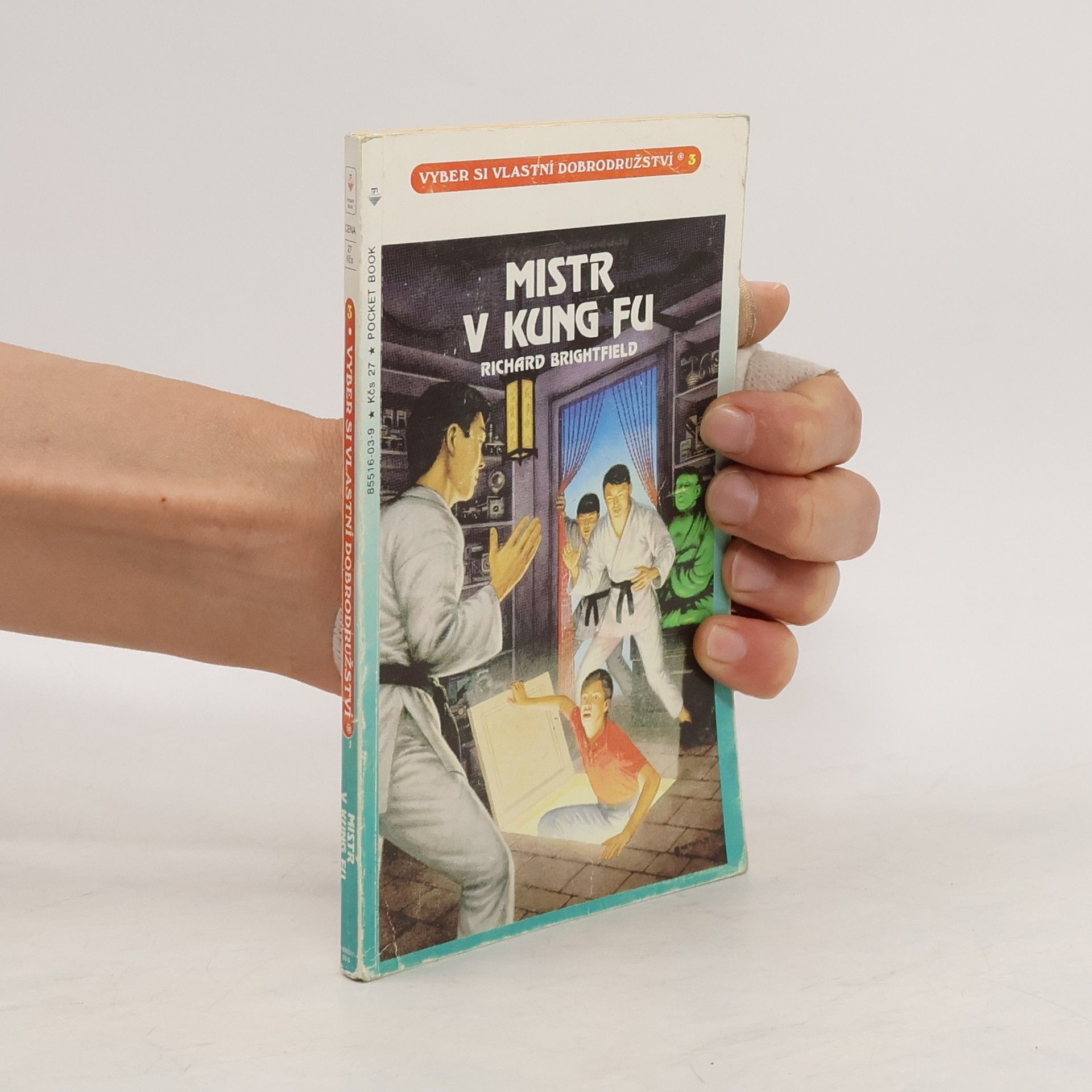 Richard Brightfield Mistr v kung fu