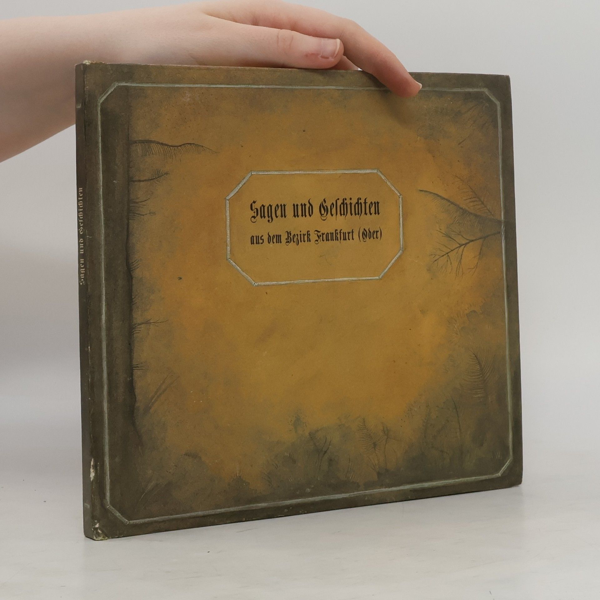 Auteurscollectief Sagen und Geschichten aus dem Bezirk Frankfurt (Oder)