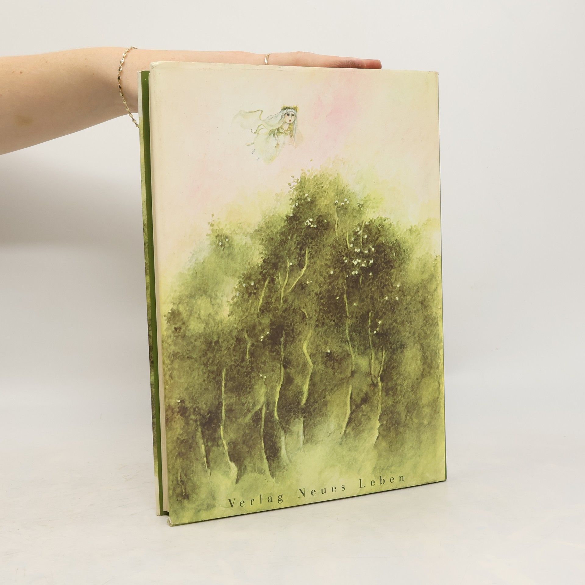 Autores varios Polnische Märchen