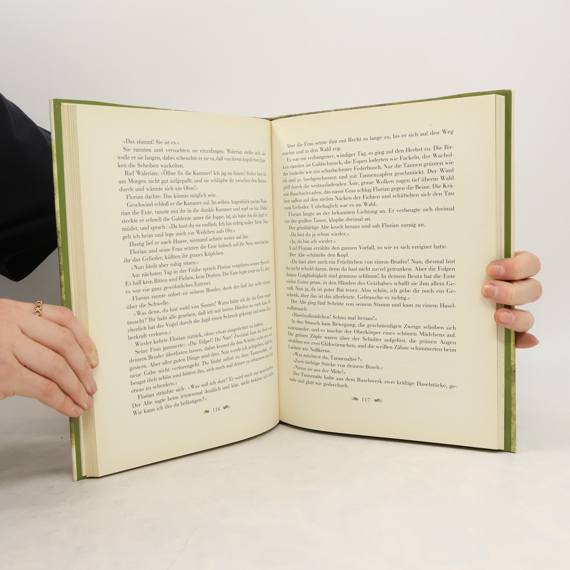 Autores varios Polnische Märchen