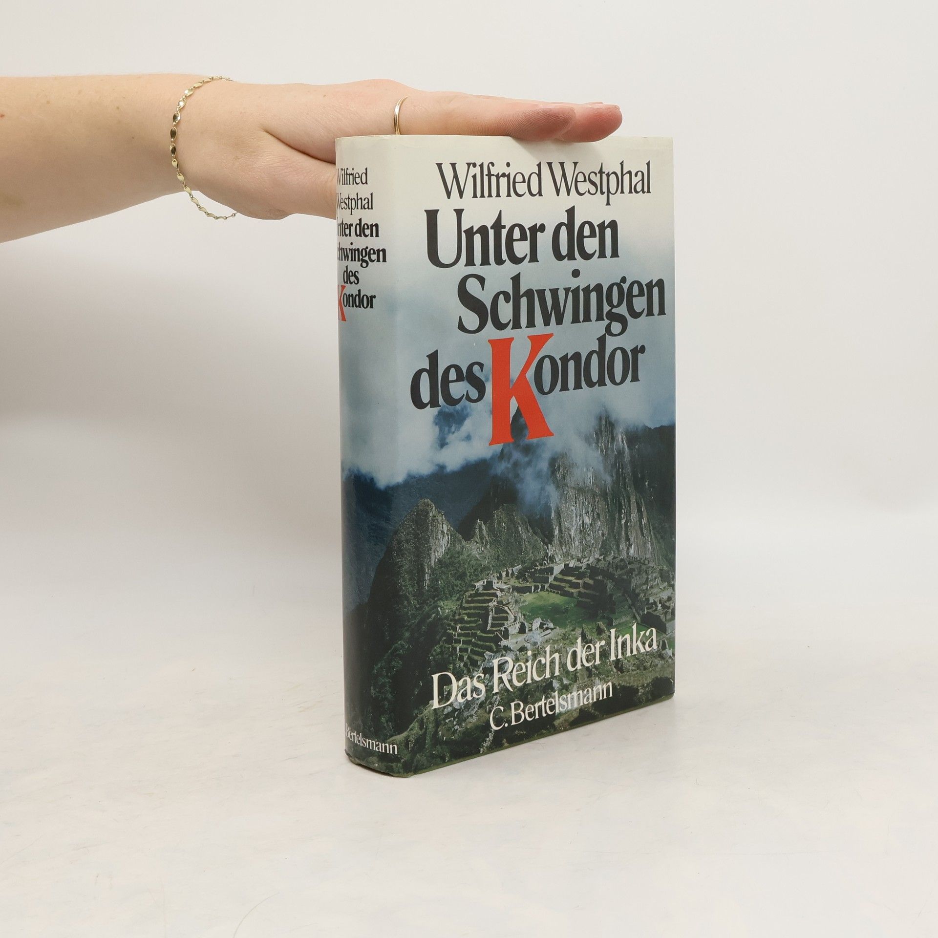 Wilfried Westphal Unter den Schwingen des Kondor