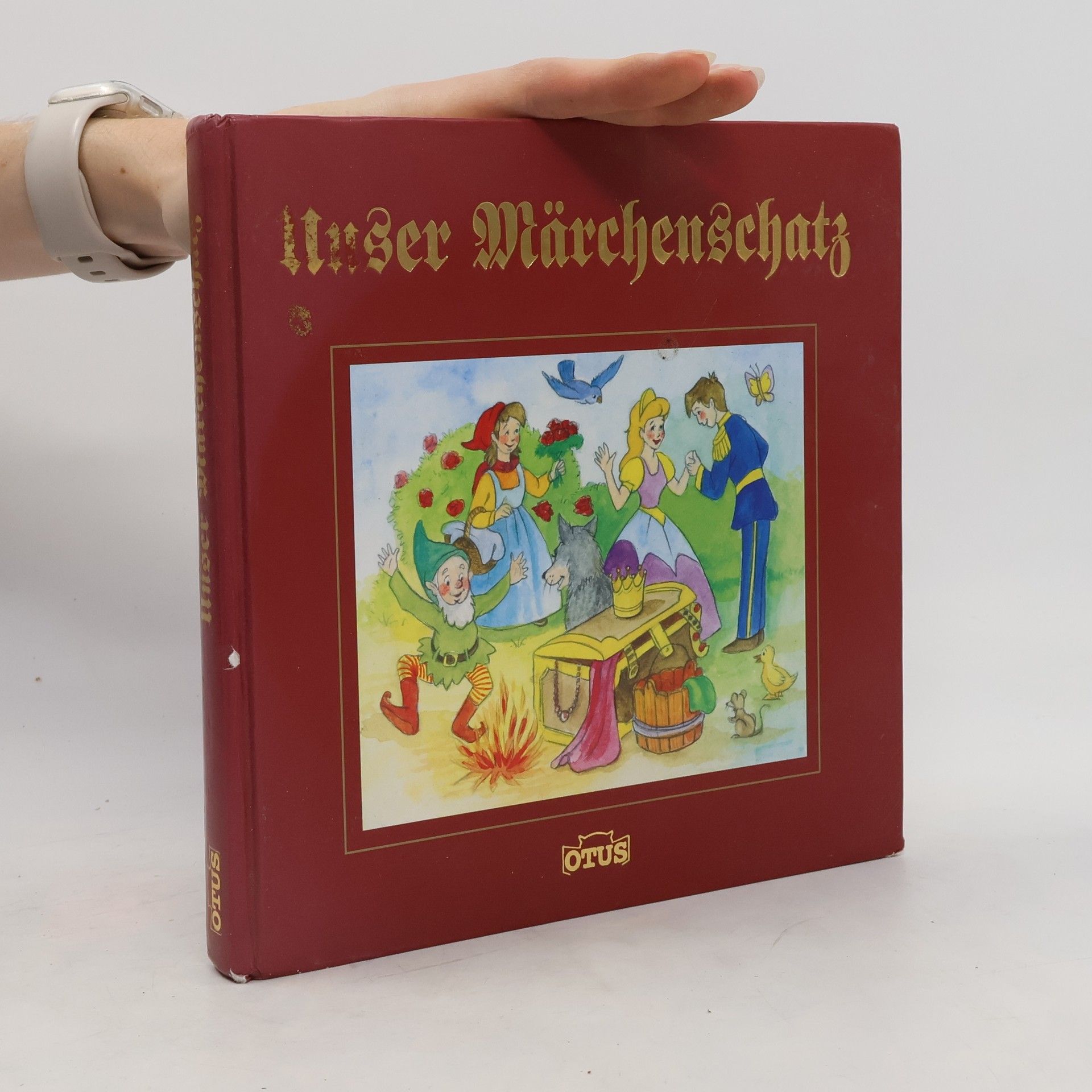Autorenkollektiv Unser Märchenschatz
