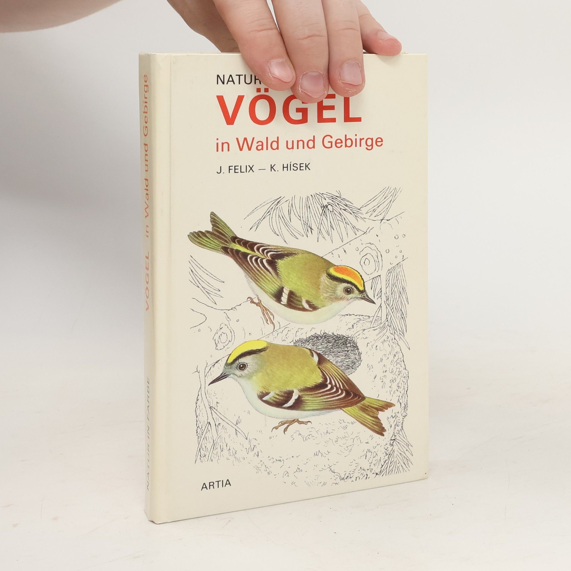 J. Felix Vögel in Wald und Gebirge