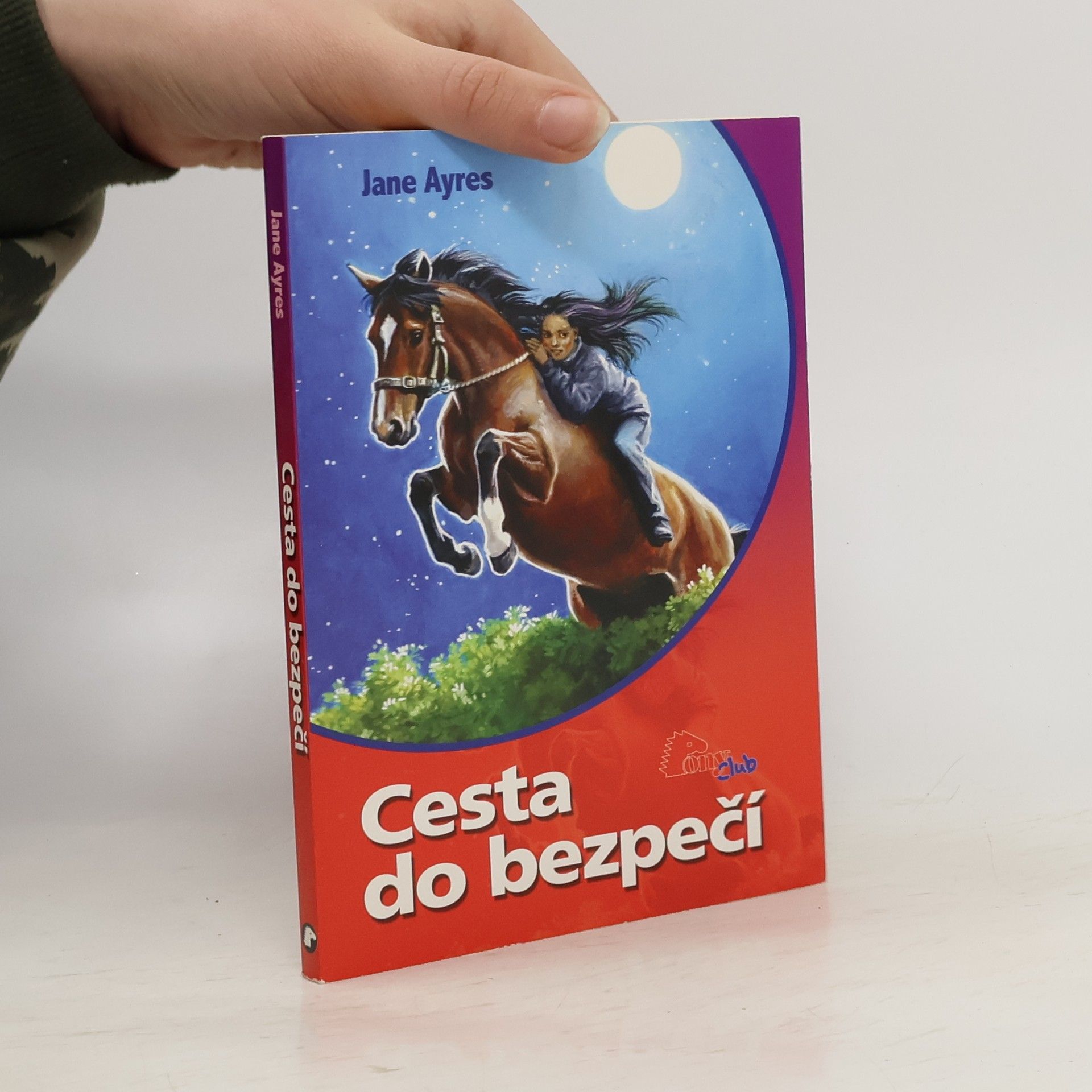 Jane Ayres Cesta do bezpečí
