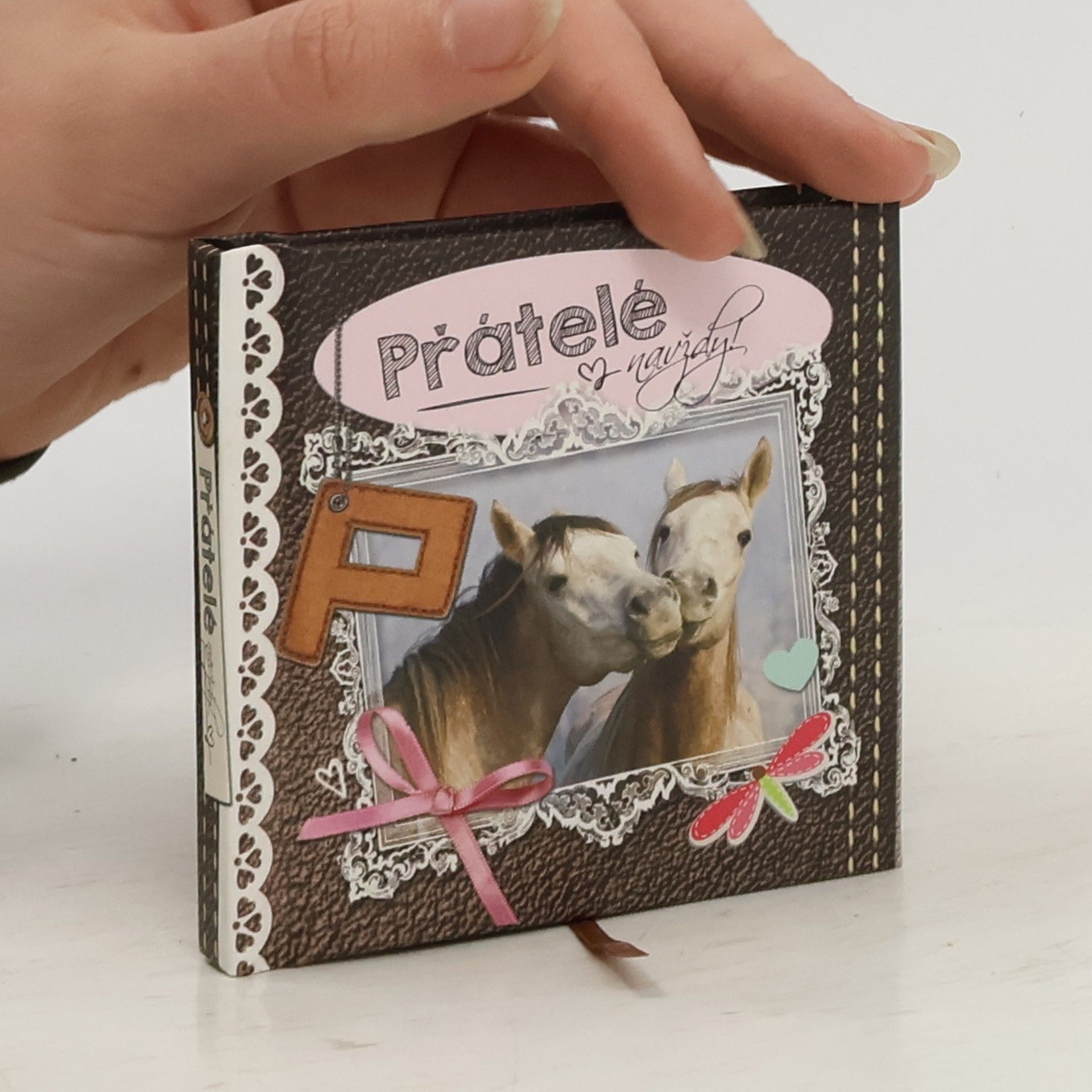 Charlotte Frennesson Přátelé navždy