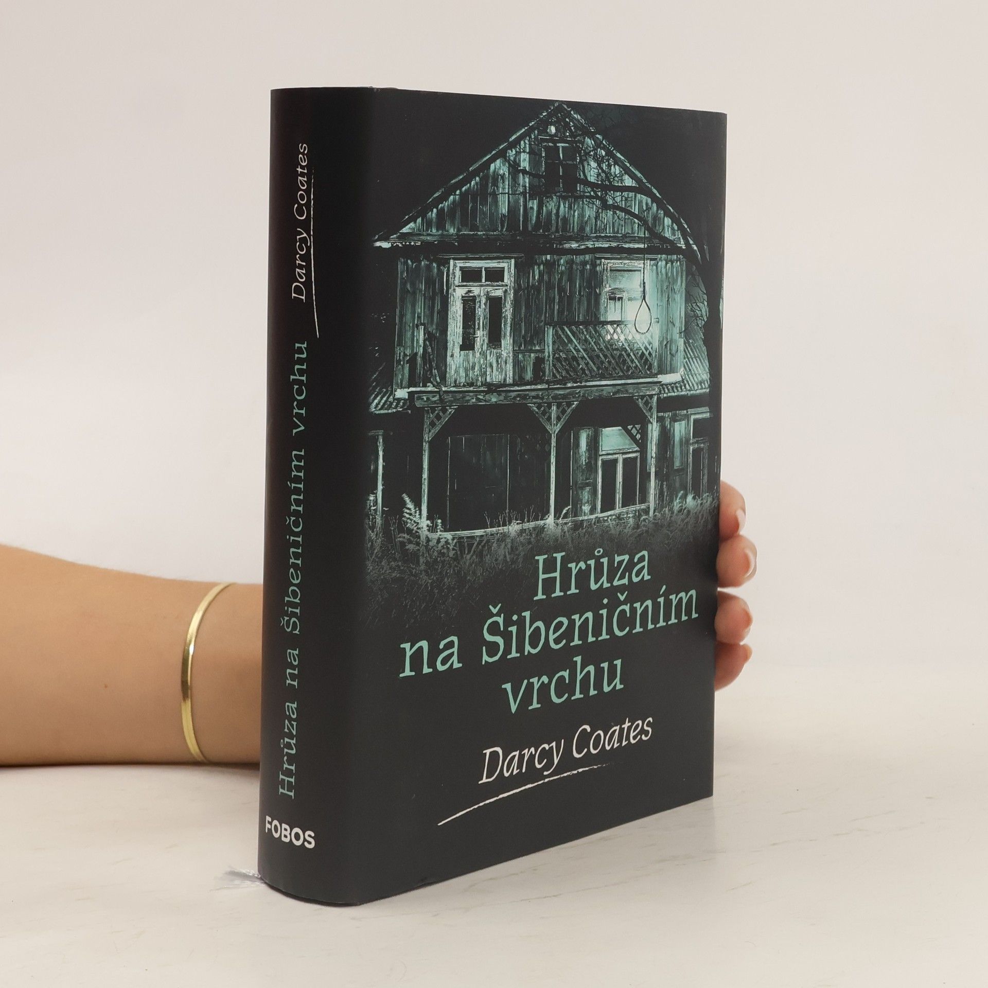 Darcy Coates Hrůza na Šibeničním vrchu